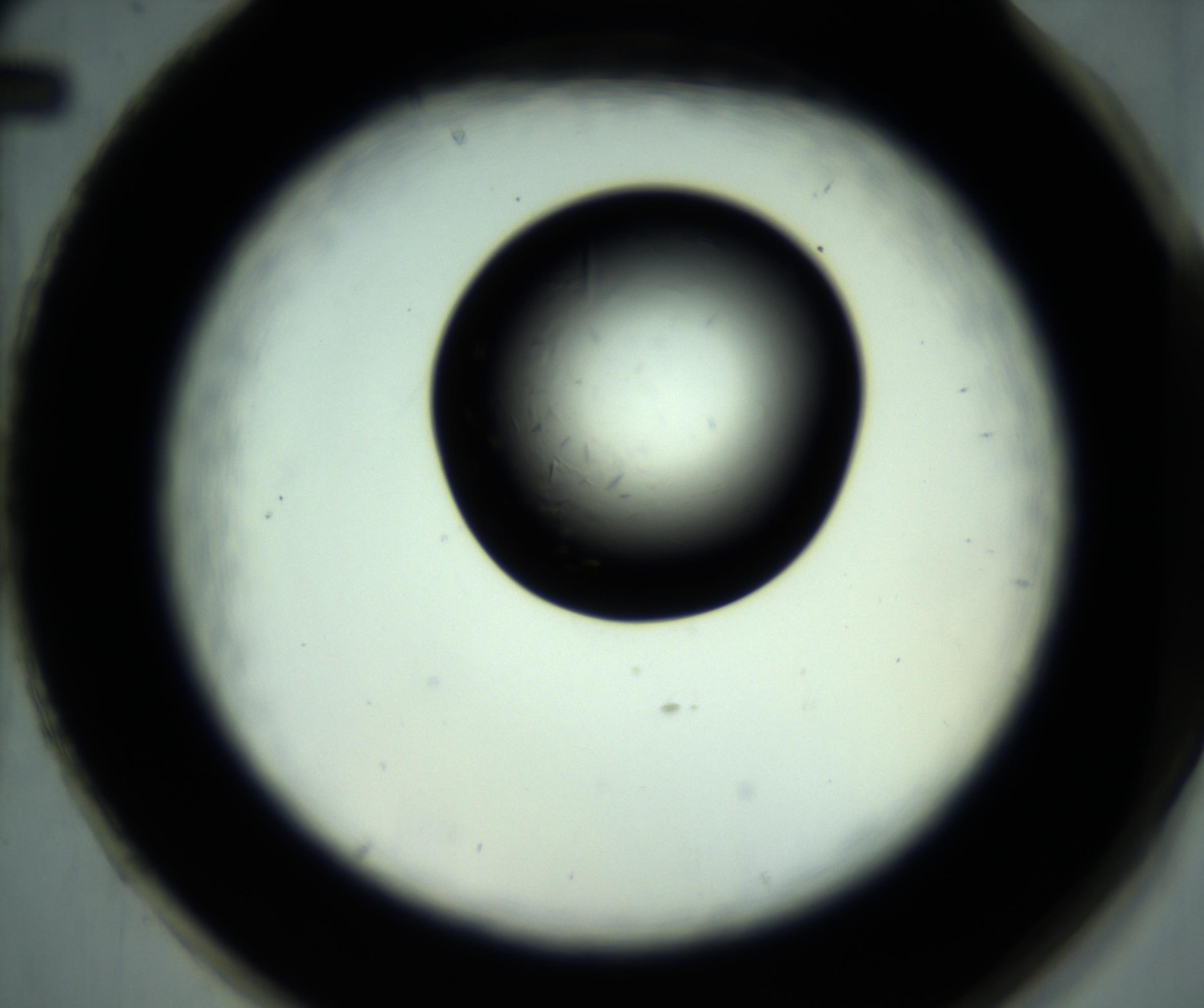 RI01_03_000_0212_Proj1_Clon1_MC_0000MC102887_001_161024_02_08_02_00_98_002_001_RAI.jpg