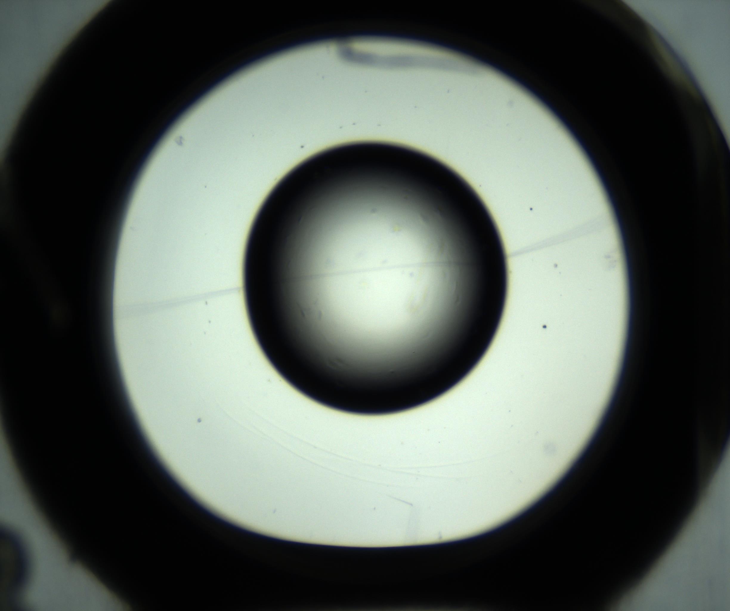 RI01_03_000_0212_Proj1_Clon1_MC_0000MC102887_001_161024_03_01_01_00_98_002_001_RAI.jpg