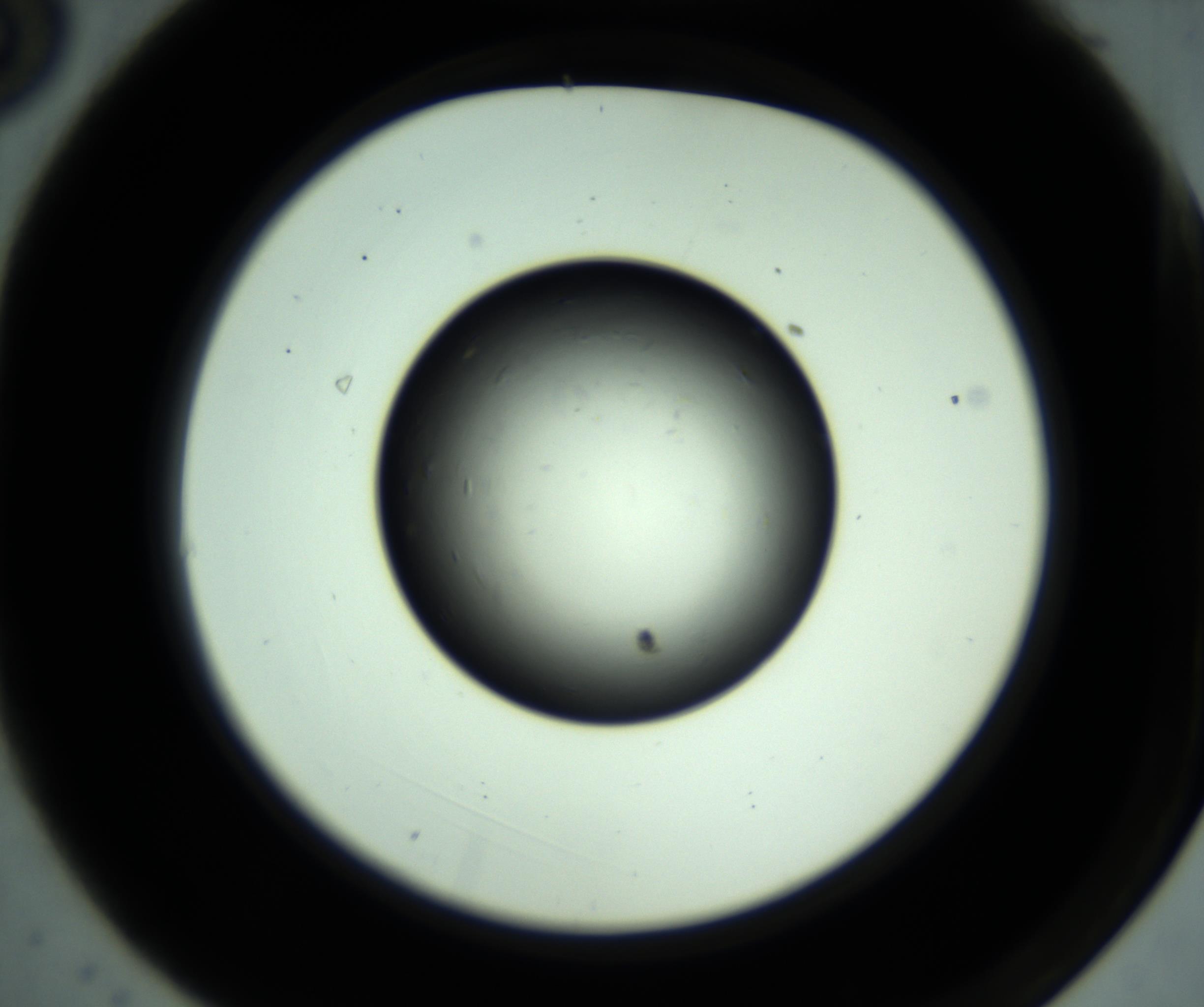 RI01_03_000_0212_Proj1_Clon1_MC_0000MC102887_001_161024_03_01_02_00_98_002_001_RAI.jpg