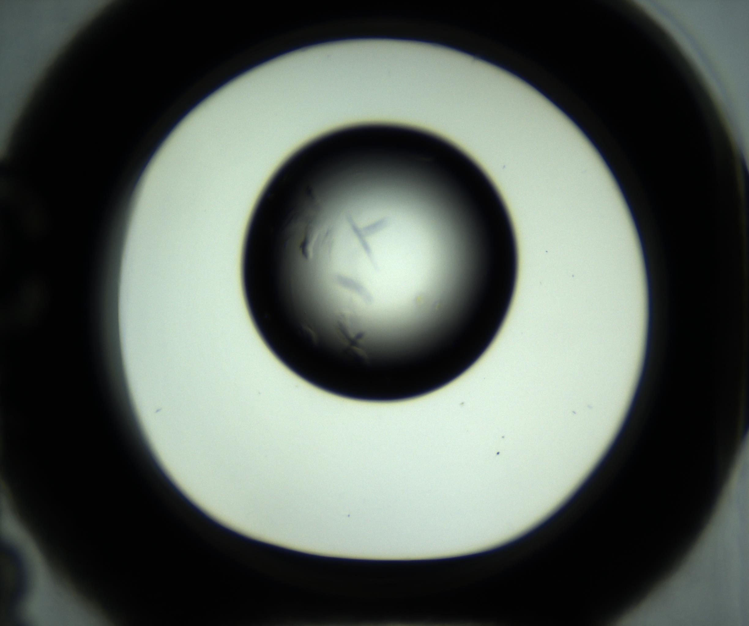 RI01_03_000_0212_Proj1_Clon1_MC_0000MC102887_001_161024_03_03_01_00_98_002_001_RAI.jpg
