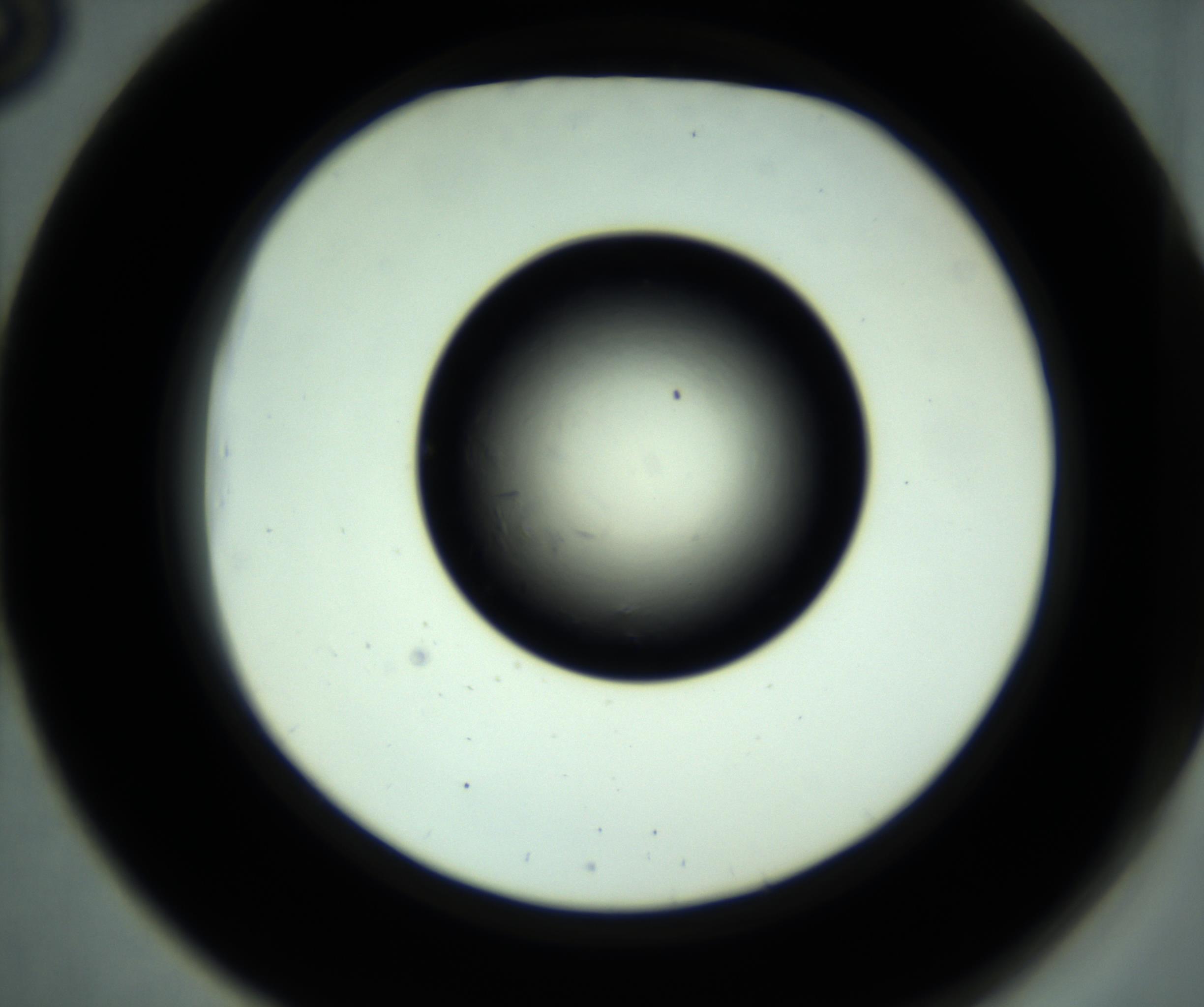 RI01_03_000_0212_Proj1_Clon1_MC_0000MC102887_001_161024_03_05_02_00_98_002_001_RAI.jpg