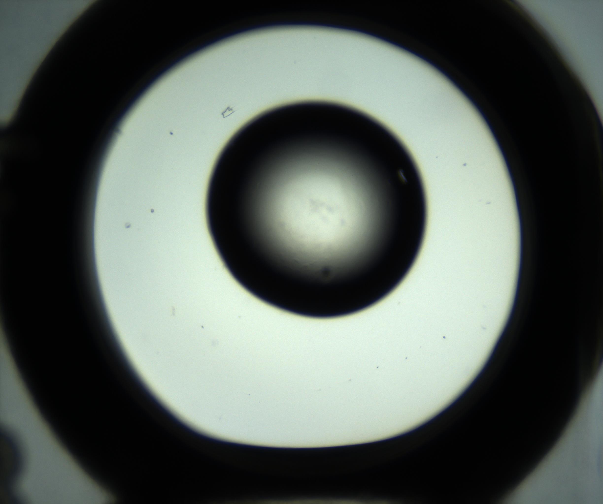 RI01_03_000_0212_Proj1_Clon1_MC_0000MC102887_001_161024_03_06_01_00_98_002_001_RAI.jpg