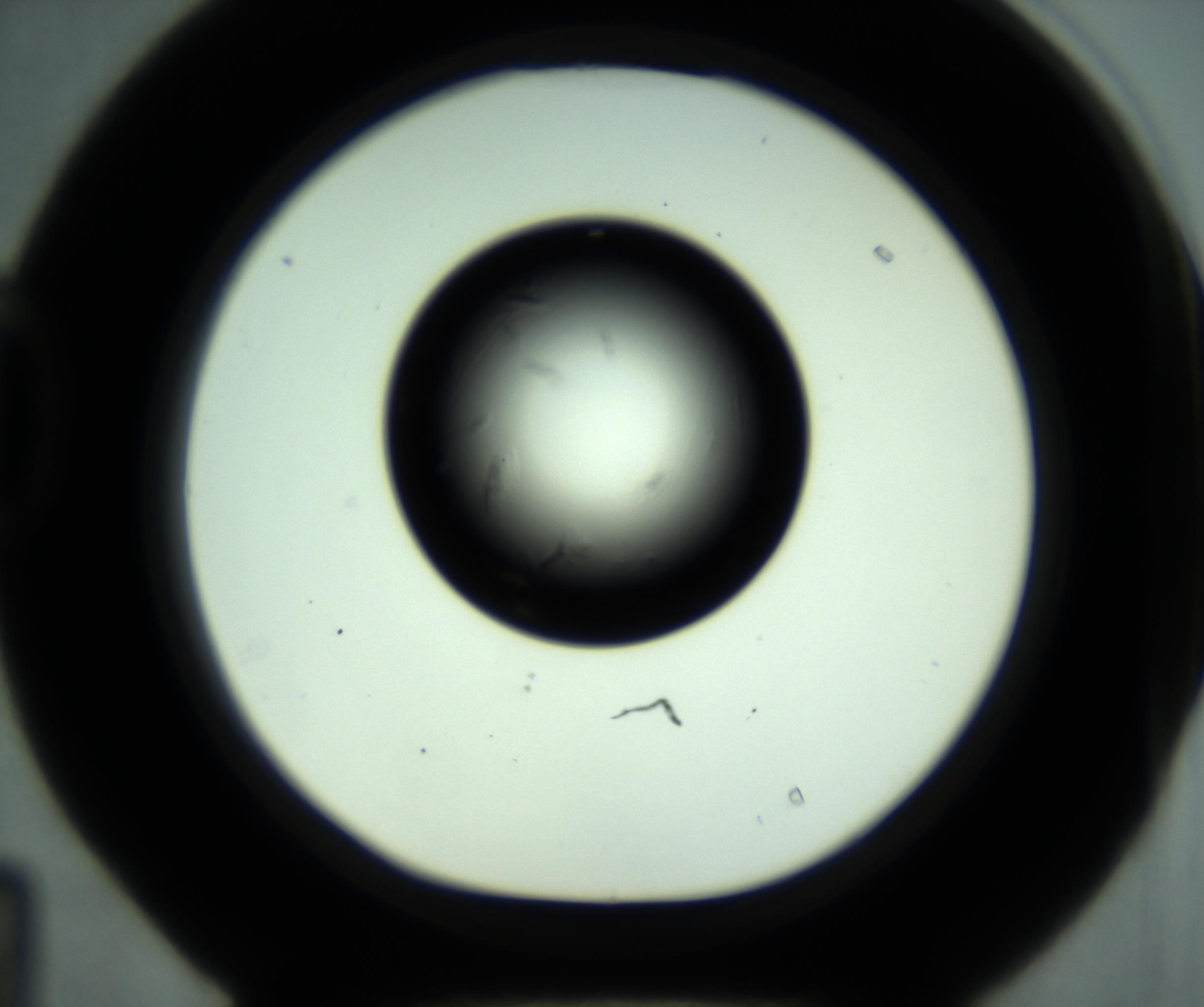 RI01_03_000_0212_Proj1_Clon1_MC_0000MC102887_001_161024_04_04_01_00_98_002_001_RAI.jpg