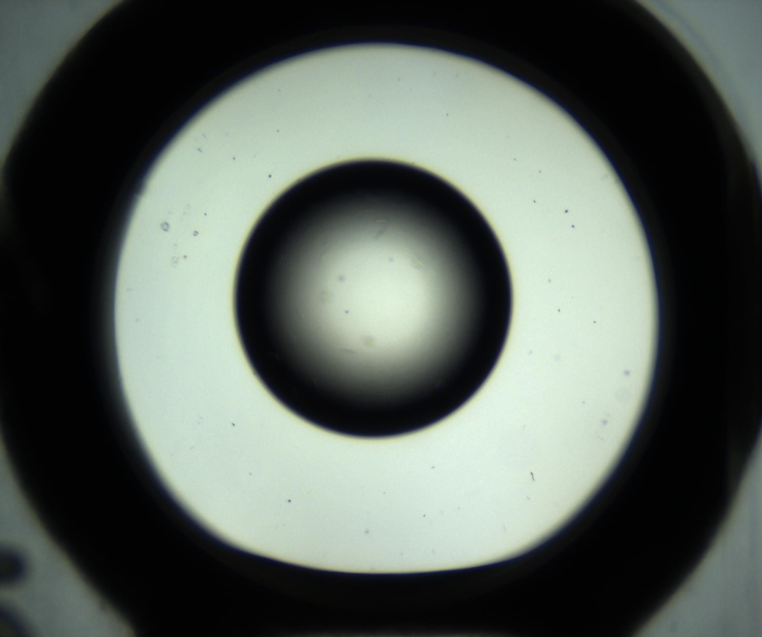 RI01_03_000_0212_Proj1_Clon1_MC_0000MC102887_001_161024_05_01_01_00_98_002_001_RAI.jpg