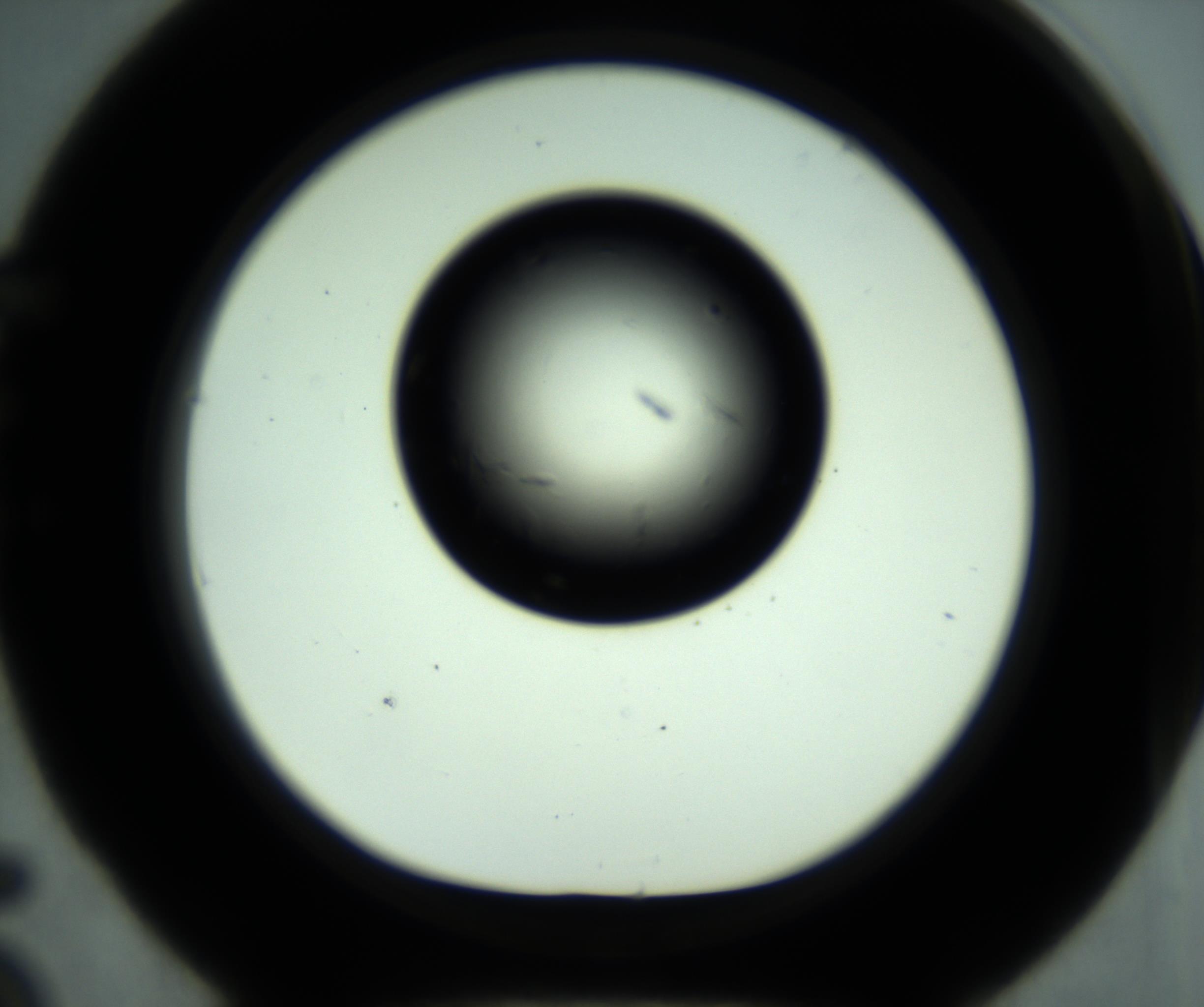 RI01_03_000_0212_Proj1_Clon1_MC_0000MC102887_001_161024_05_05_01_00_98_002_001_RAI.jpg