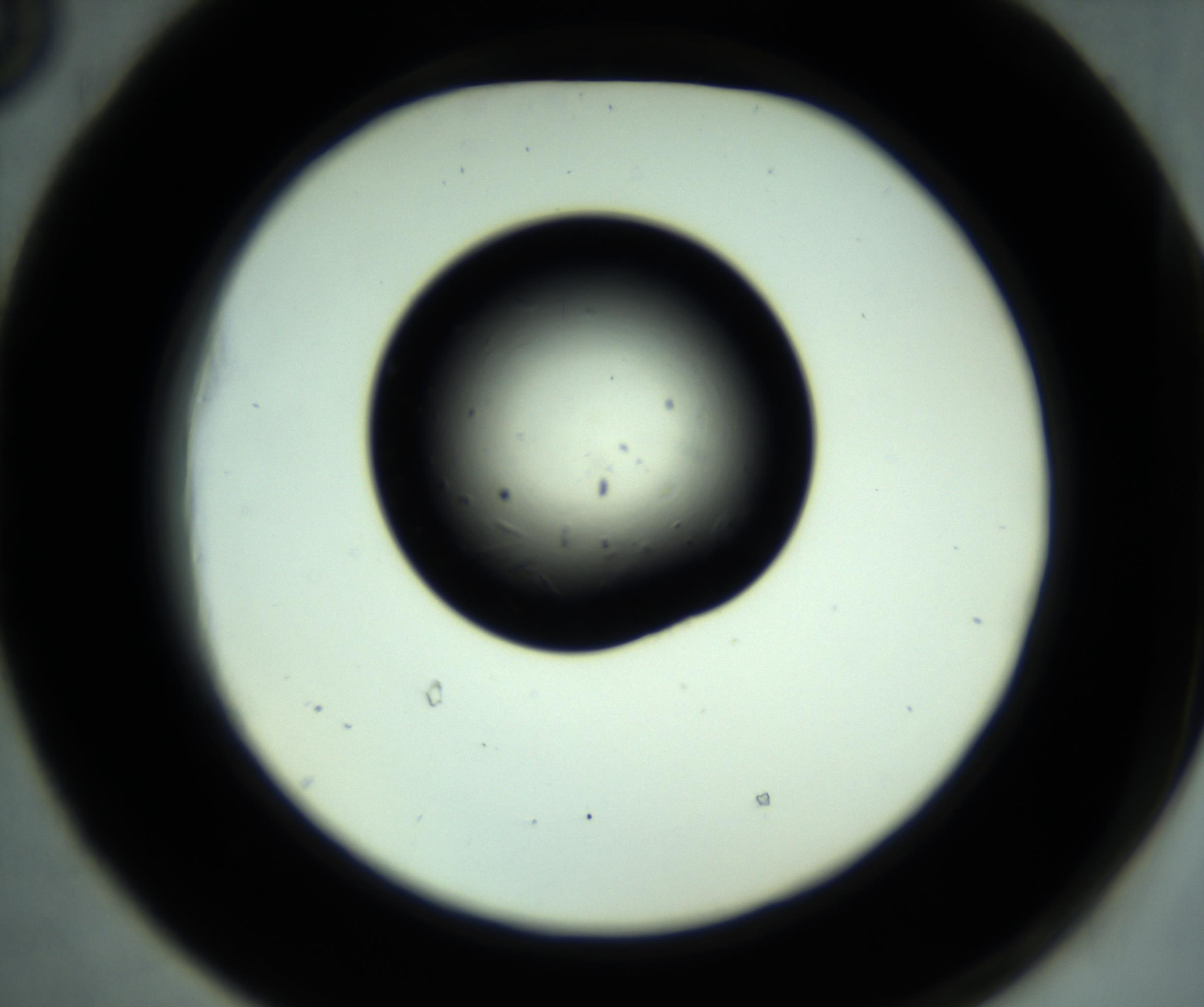 RI01_03_000_0212_Proj1_Clon1_MC_0000MC102887_001_161024_05_05_02_00_98_002_001_RAI.jpg