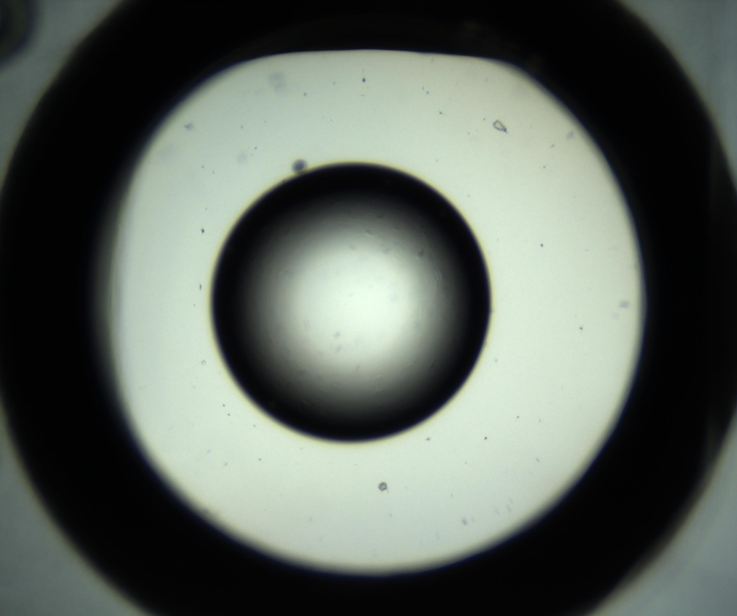 RI01_03_000_0212_Proj1_Clon1_MC_0000MC102887_001_161024_06_02_02_00_98_002_001_RAI.jpg