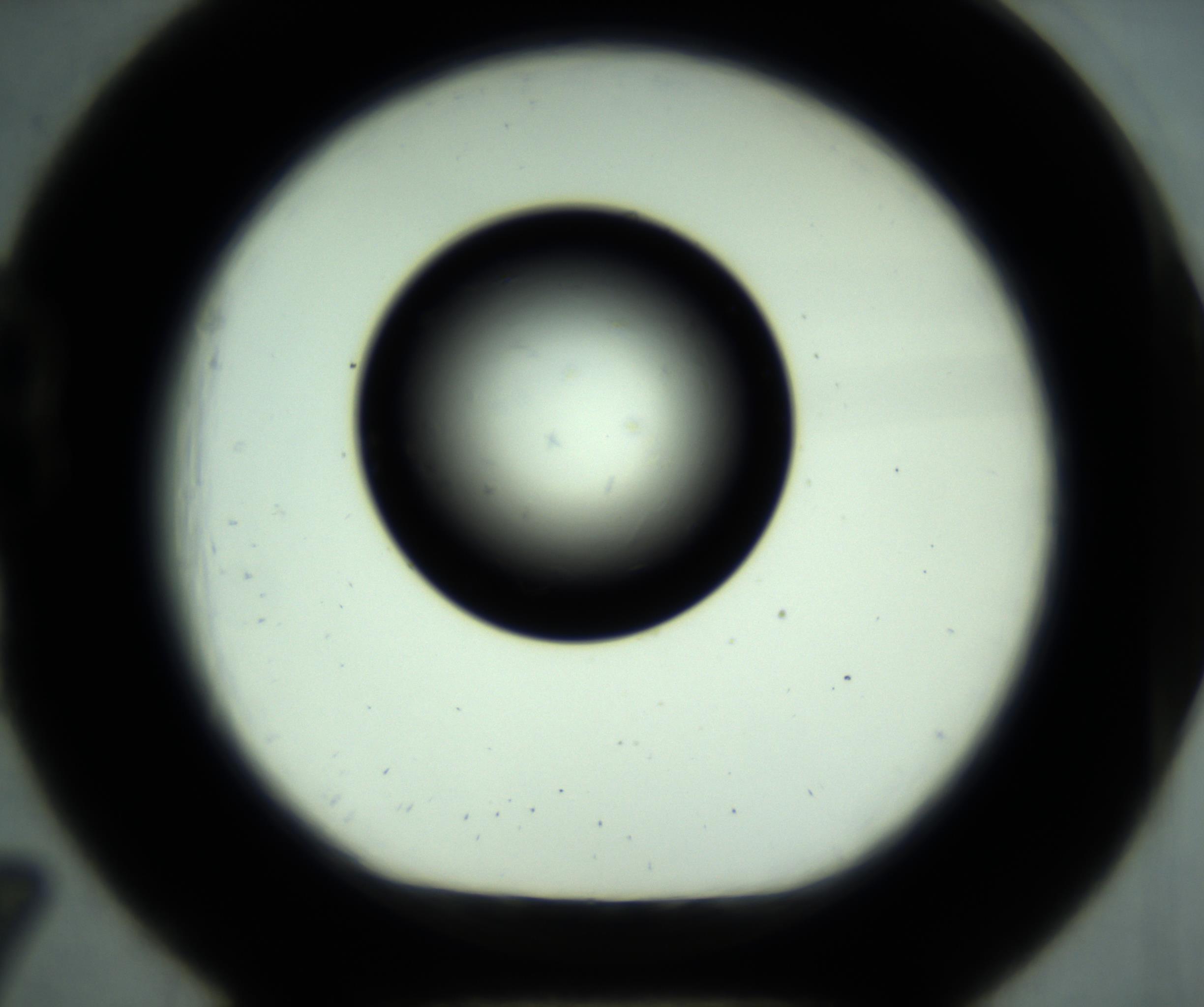 RI01_03_000_0212_Proj1_Clon1_MC_0000MC102887_001_161024_07_02_01_00_98_002_001_RAI.jpg