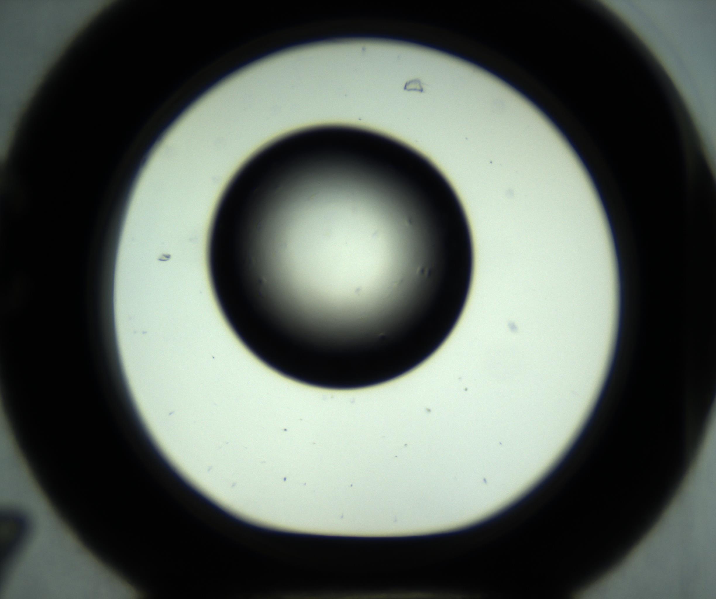 RI01_03_000_0212_Proj1_Clon1_MC_0000MC102887_001_161024_07_03_01_00_98_002_001_RAI.jpg