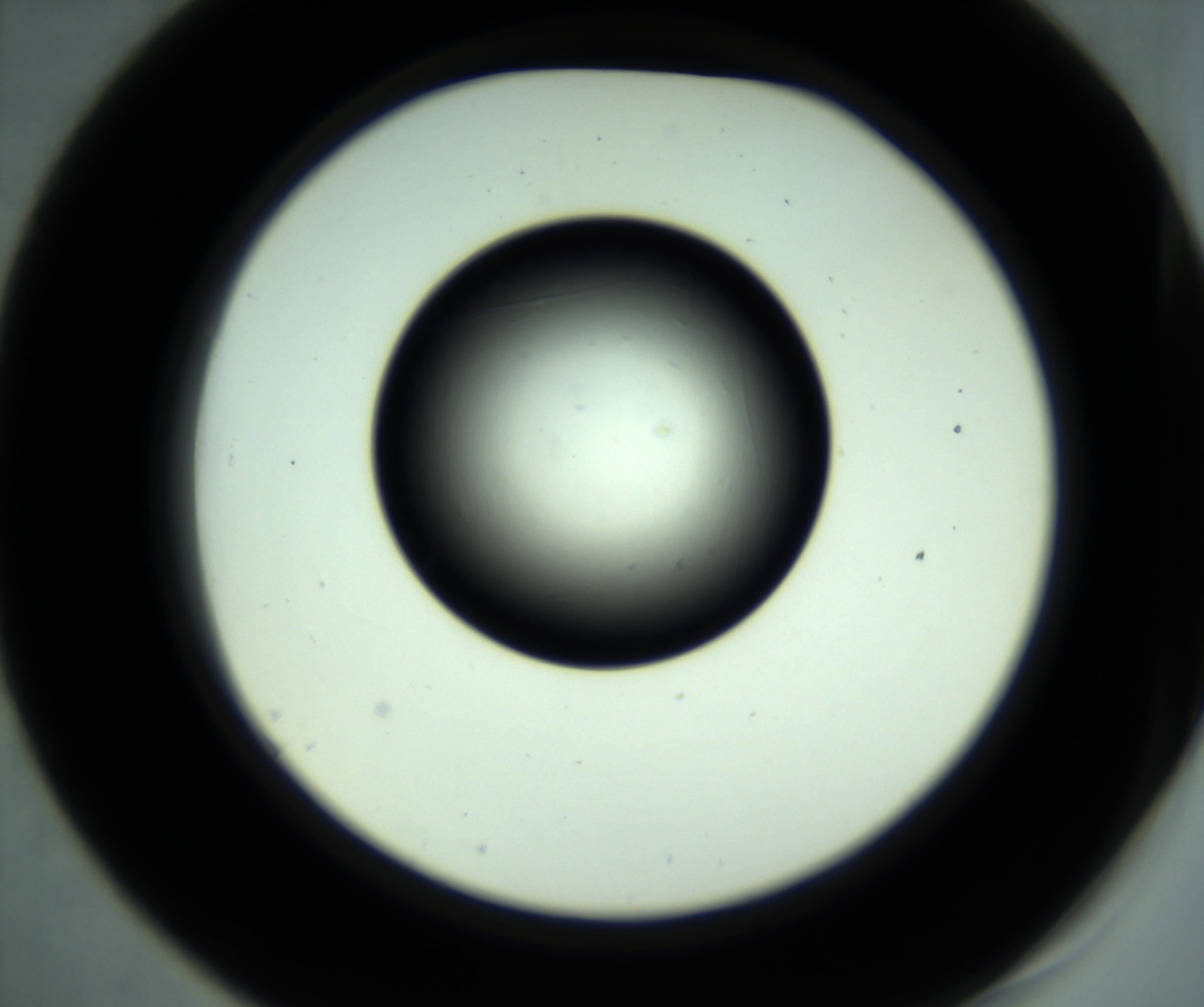 RI01_03_000_0212_Proj1_Clon1_MC_0000MC102887_001_161024_07_05_02_00_98_002_001_RAI.jpg