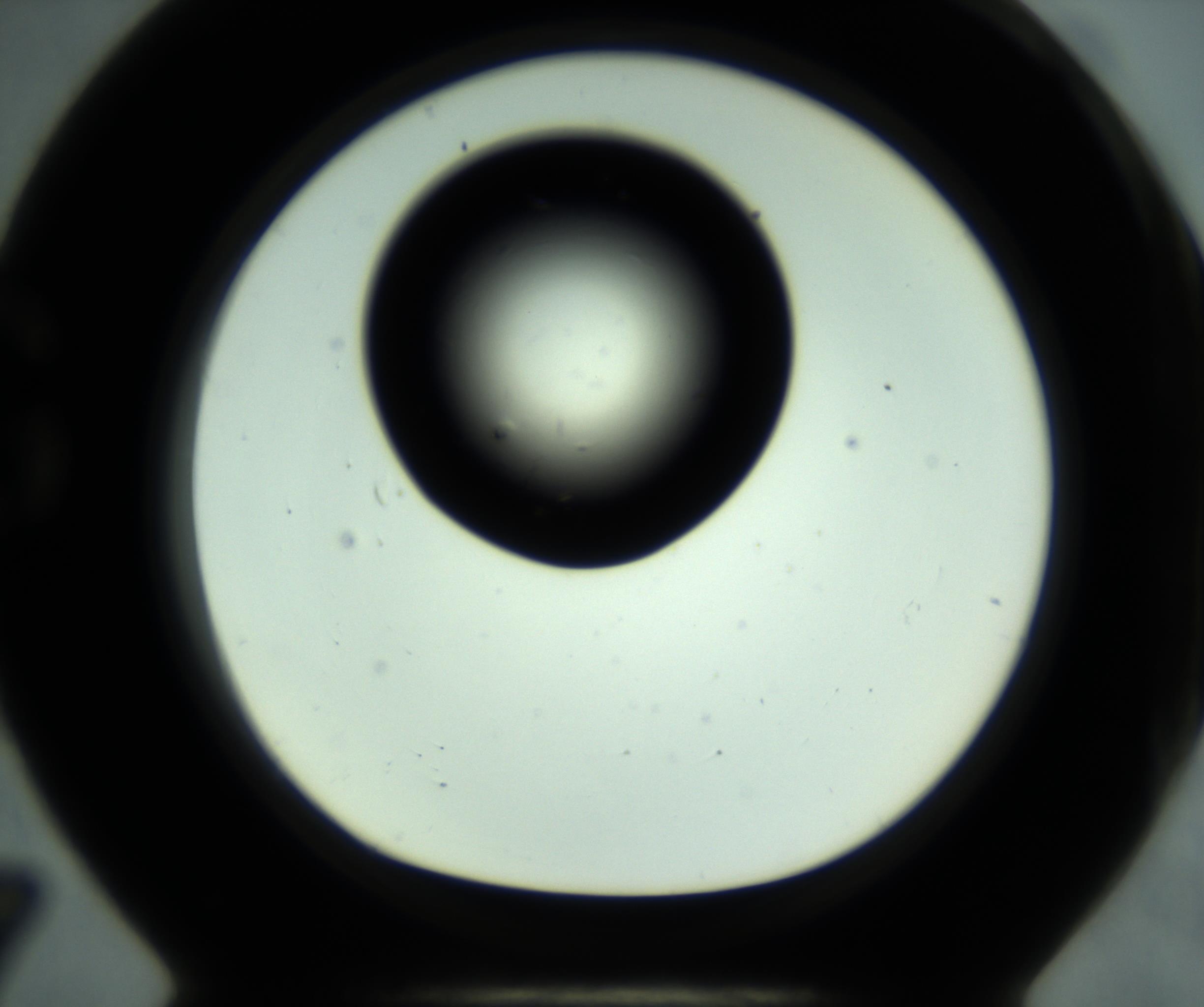 RI01_03_000_0212_Proj1_Clon1_MC_0000MC102887_001_161024_07_07_01_00_98_002_001_RAI.jpg