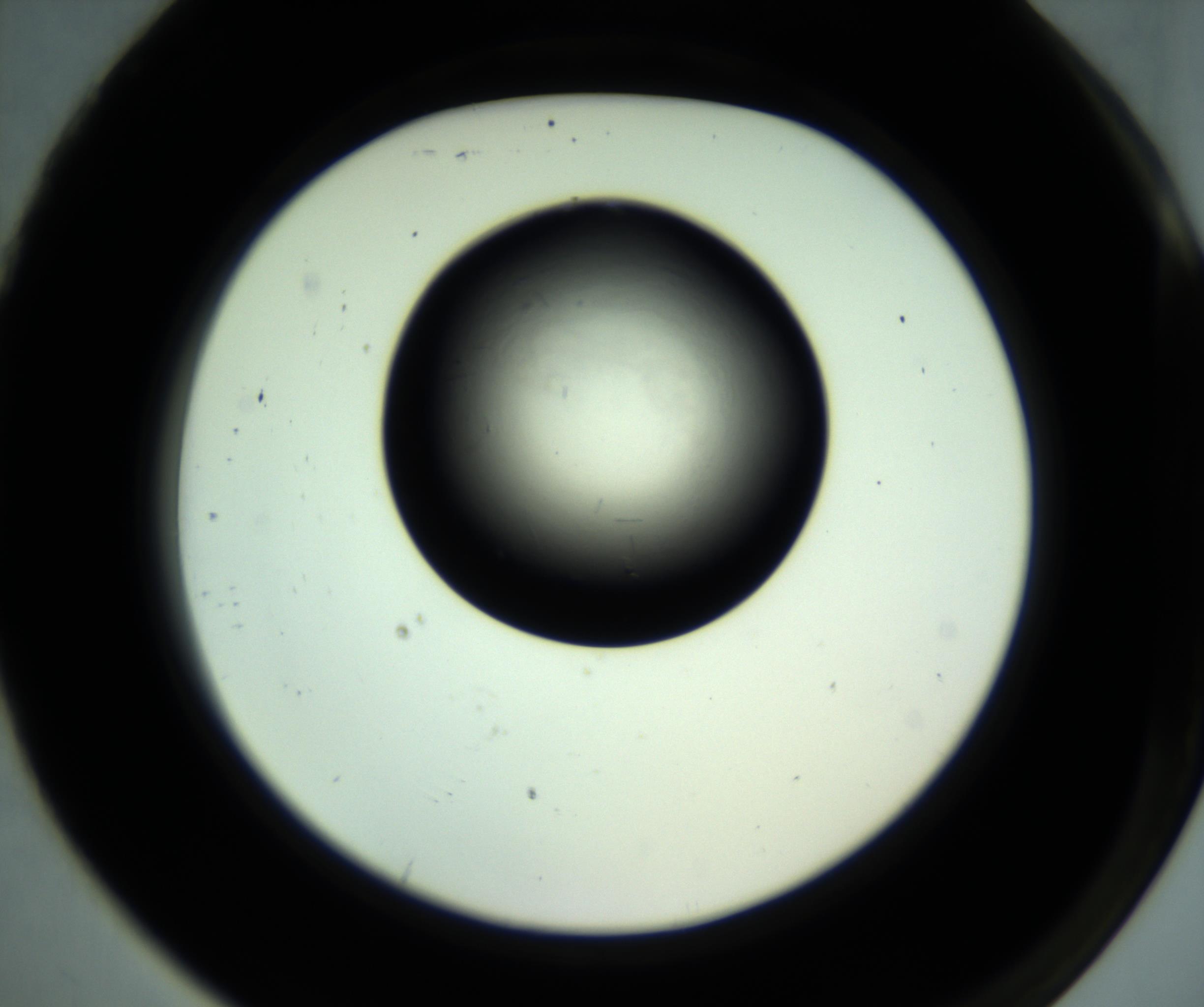 RI01_03_000_0212_Proj1_Clon1_MC_0000MC102887_001_161024_07_08_02_00_98_002_001_RAI.jpg