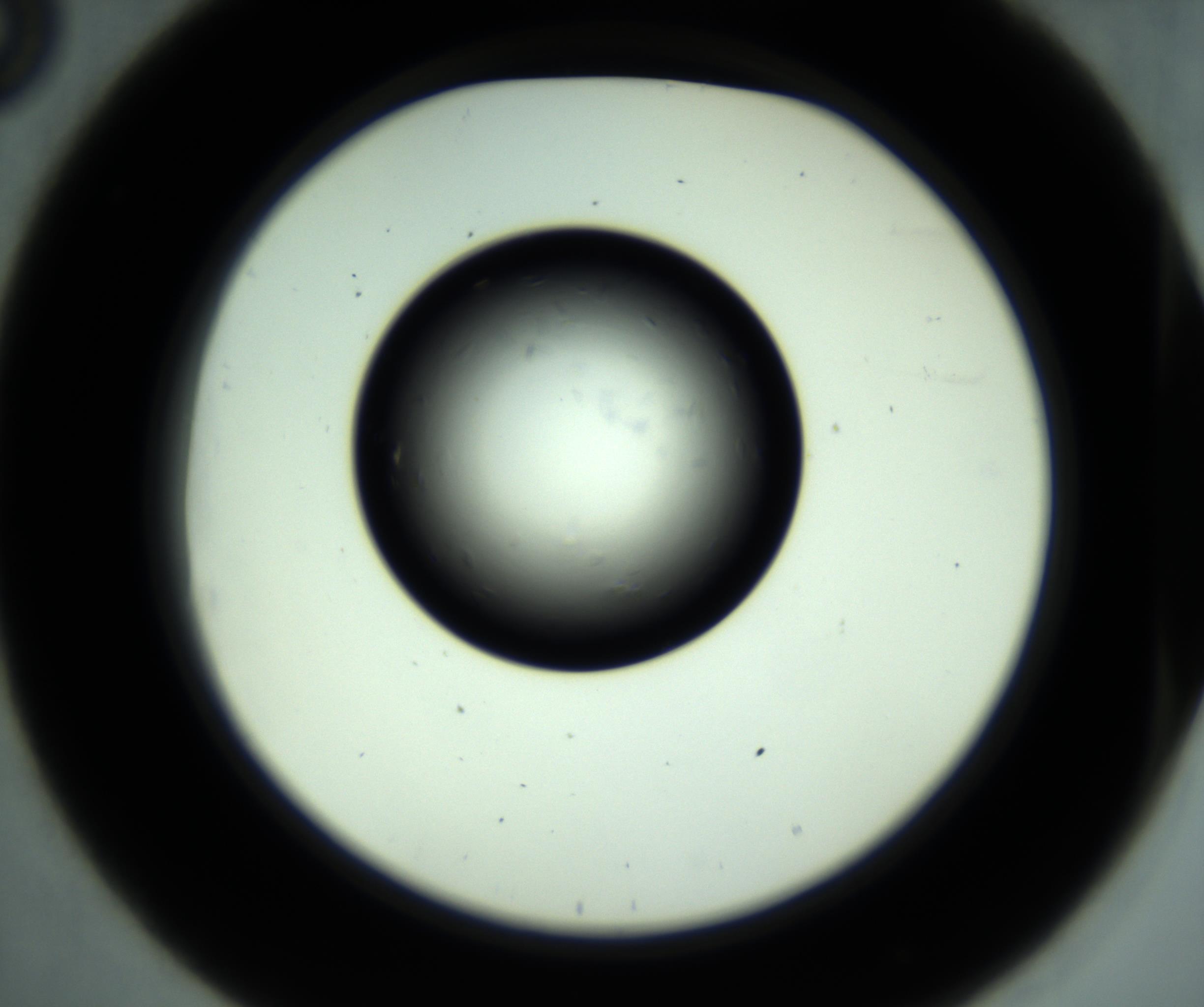 RI01_03_000_0212_Proj1_Clon1_MC_0000MC102887_001_161024_08_03_02_00_98_002_001_RAI.jpg