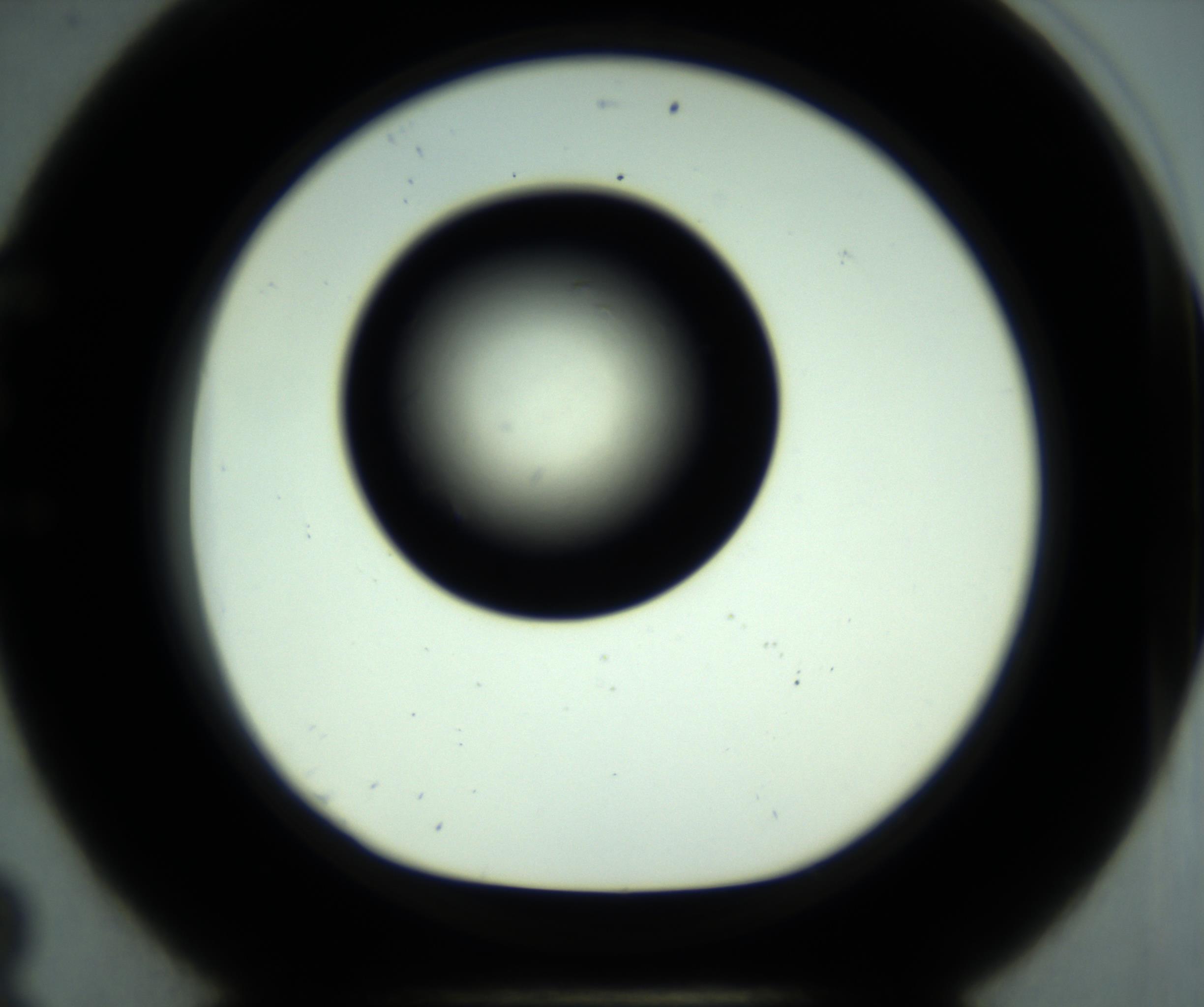 RI01_03_000_0212_Proj1_Clon1_MC_0000MC102887_001_161024_08_05_01_00_98_002_001_RAI.jpg