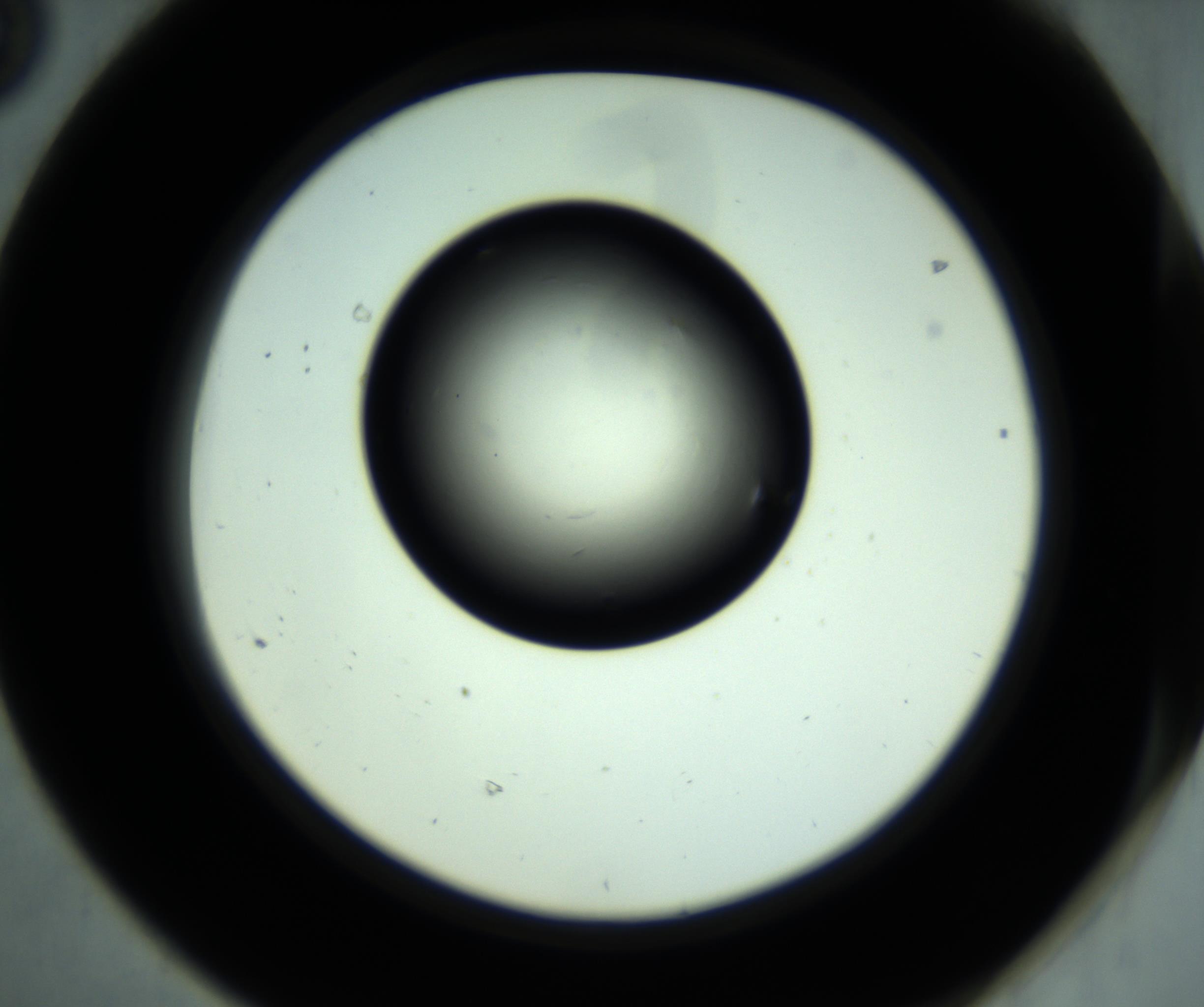 RI01_03_000_0212_Proj1_Clon1_MC_0000MC102887_001_161024_08_06_02_00_98_002_001_RAI.jpg