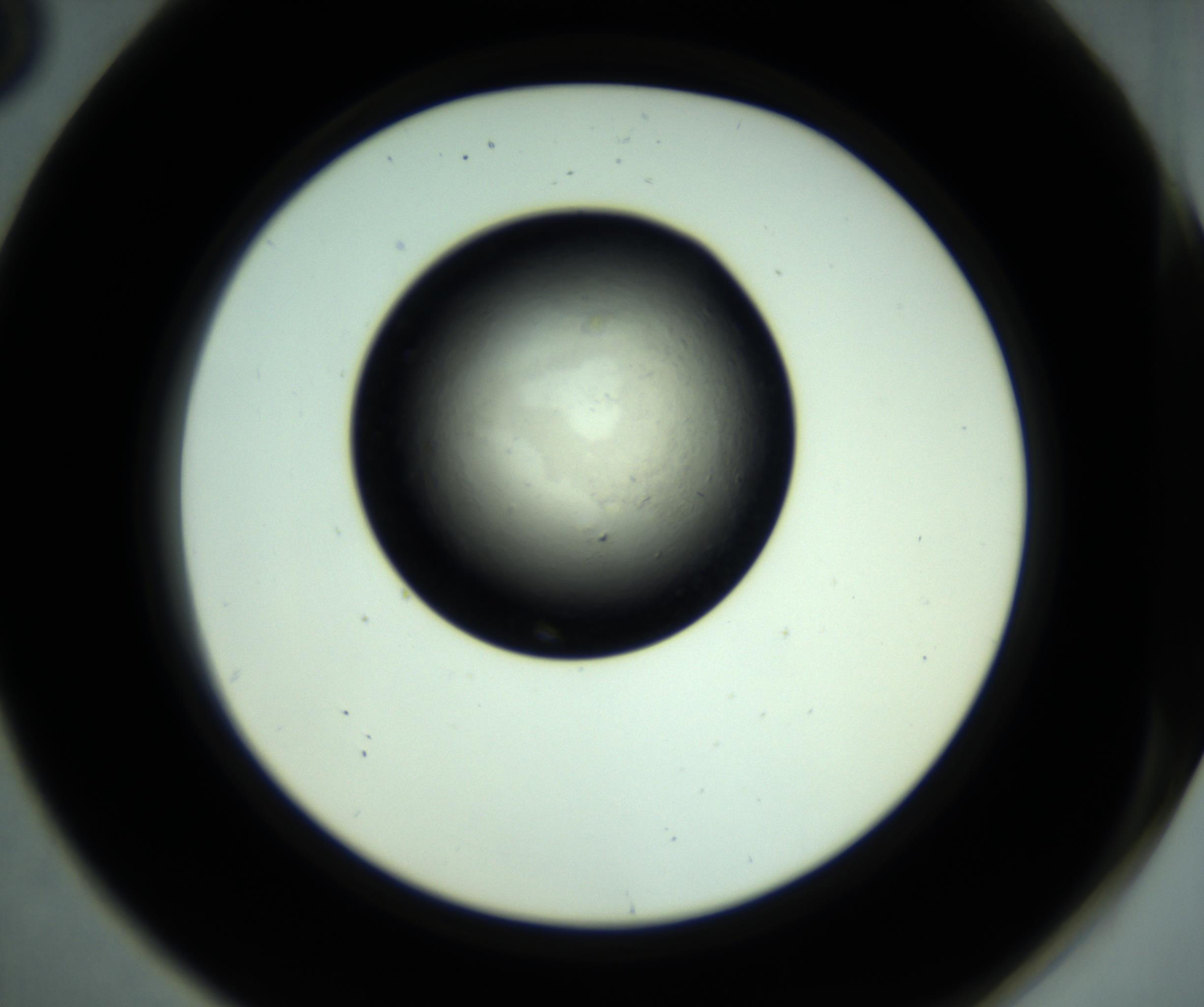 RI01_03_000_0212_Proj1_Clon1_MC_0000MC102887_001_161024_08_07_02_00_98_002_001_RAI.jpg