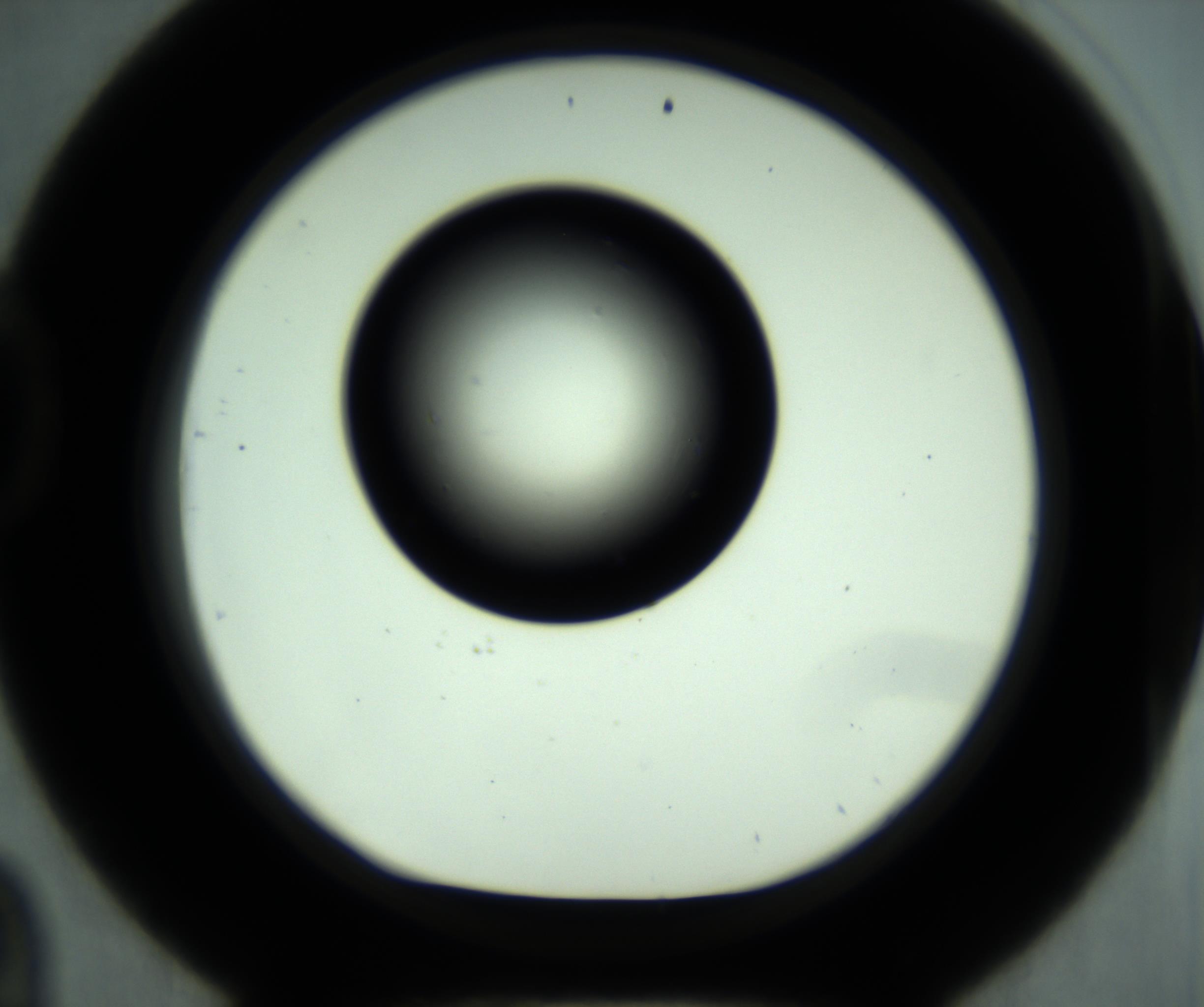 RI01_03_000_0212_Proj1_Clon1_MC_0000MC102887_001_161024_09_04_01_00_98_002_001_RAI.jpg