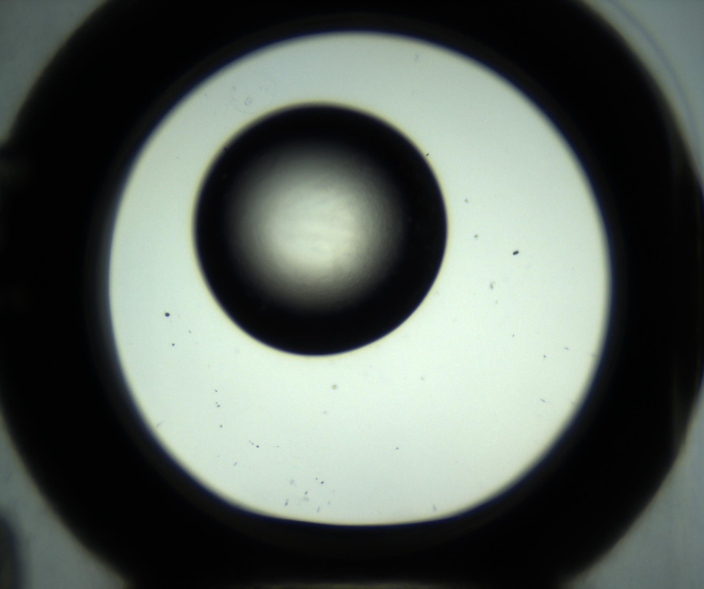 RI01_03_000_0212_Proj1_Clon1_MC_0000MC102887_001_161024_09_05_01_00_98_002_001_RAI.jpg