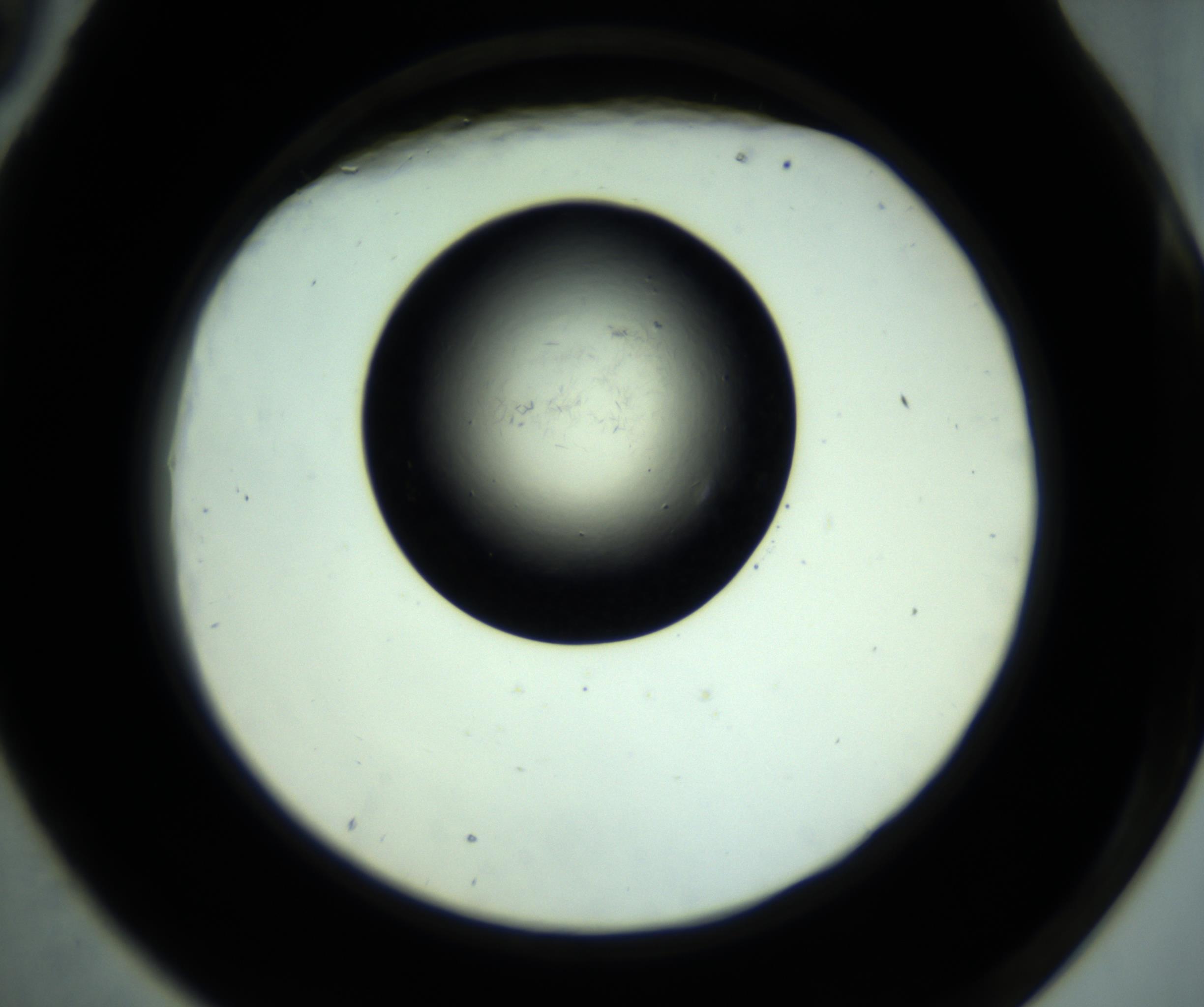 RI01_03_000_0212_Proj1_Clon1_MC_0000MC102887_001_161024_09_07_02_00_98_002_001_RAI.jpg