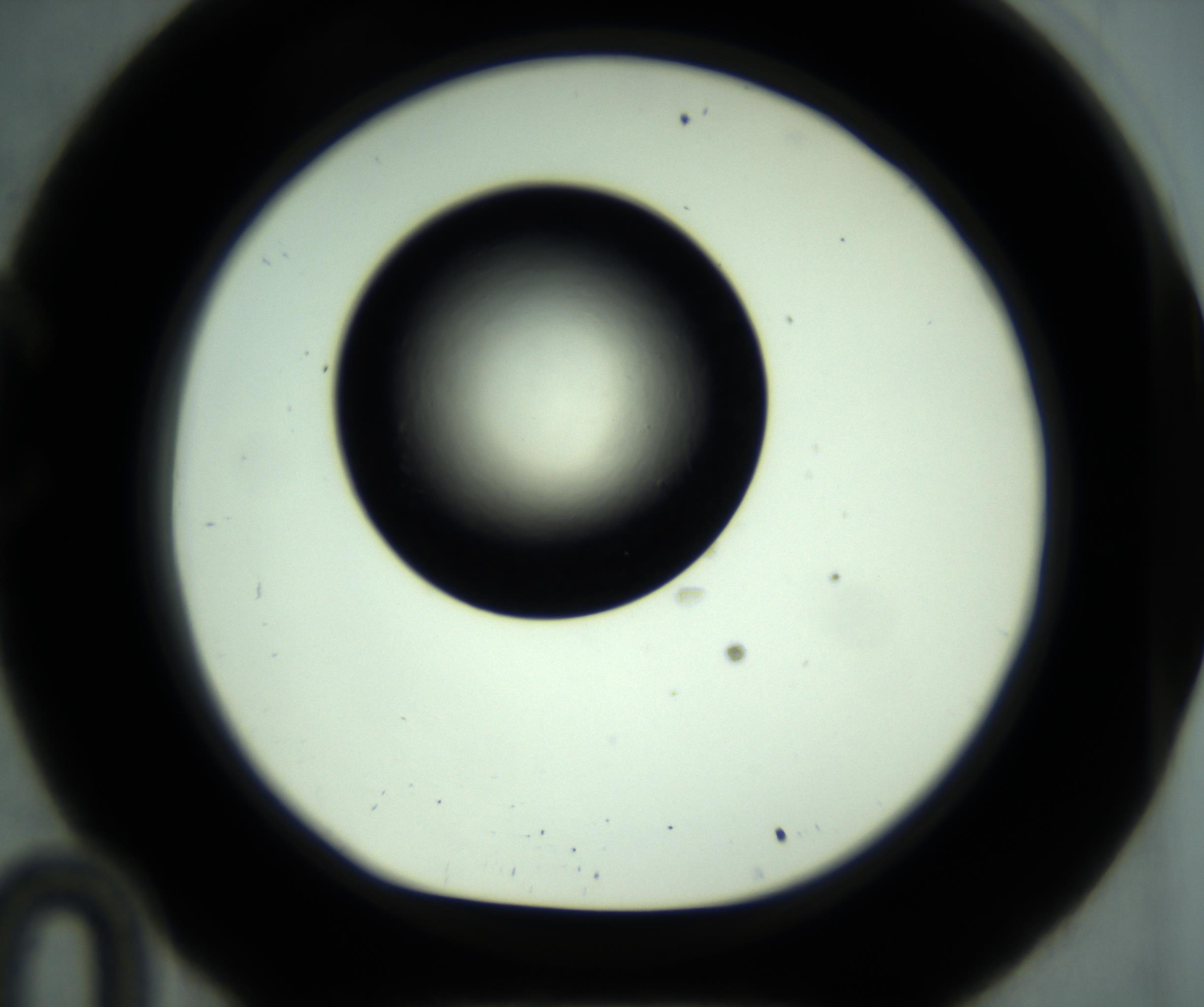 RI01_03_000_0212_Proj1_Clon1_MC_0000MC102887_001_161024_10_03_01_00_98_002_001_RAI.jpg