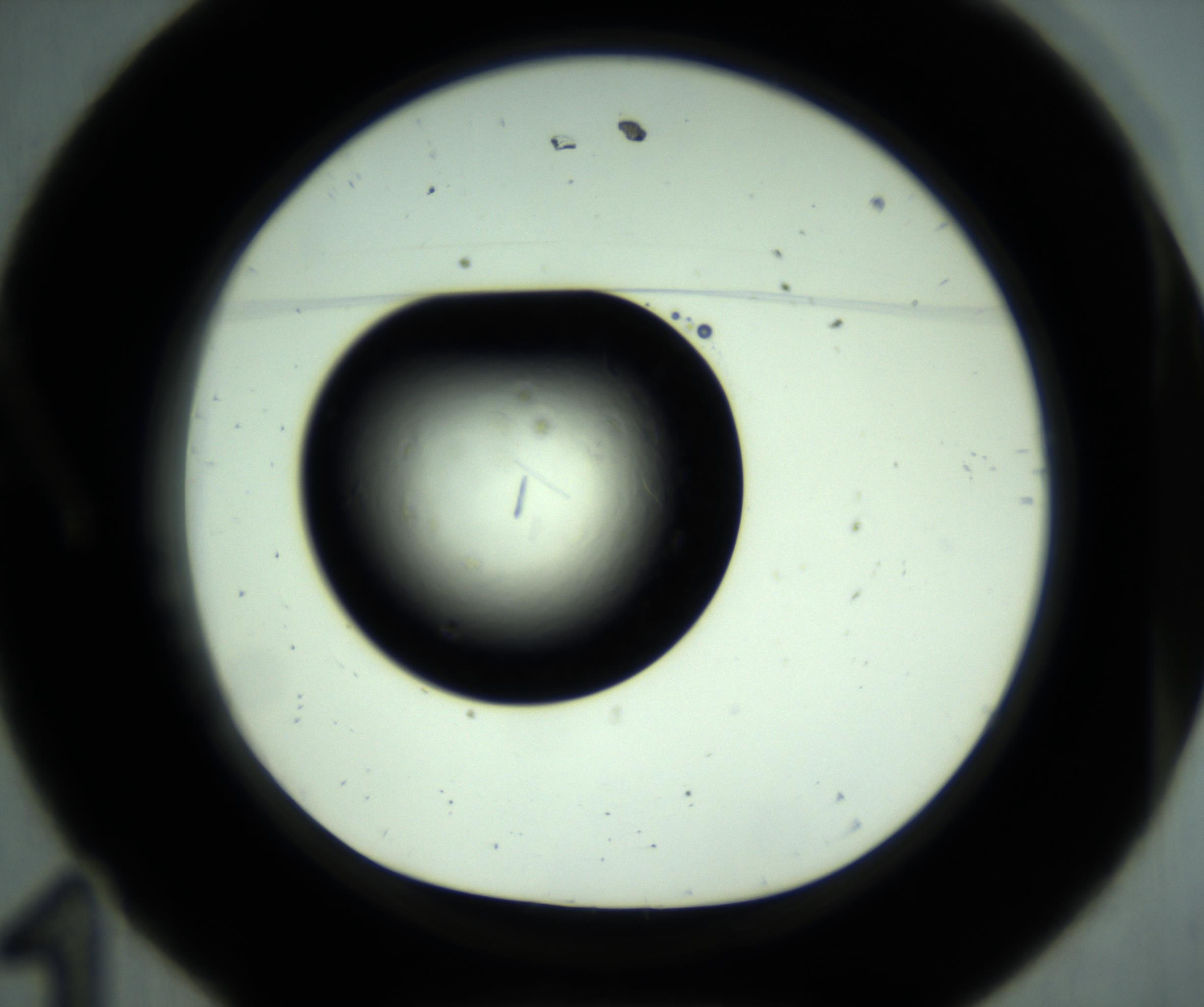 RI01_03_000_0212_Proj1_Clon1_MC_0000MC102887_001_161024_11_01_01_00_98_002_001_RAI.jpg