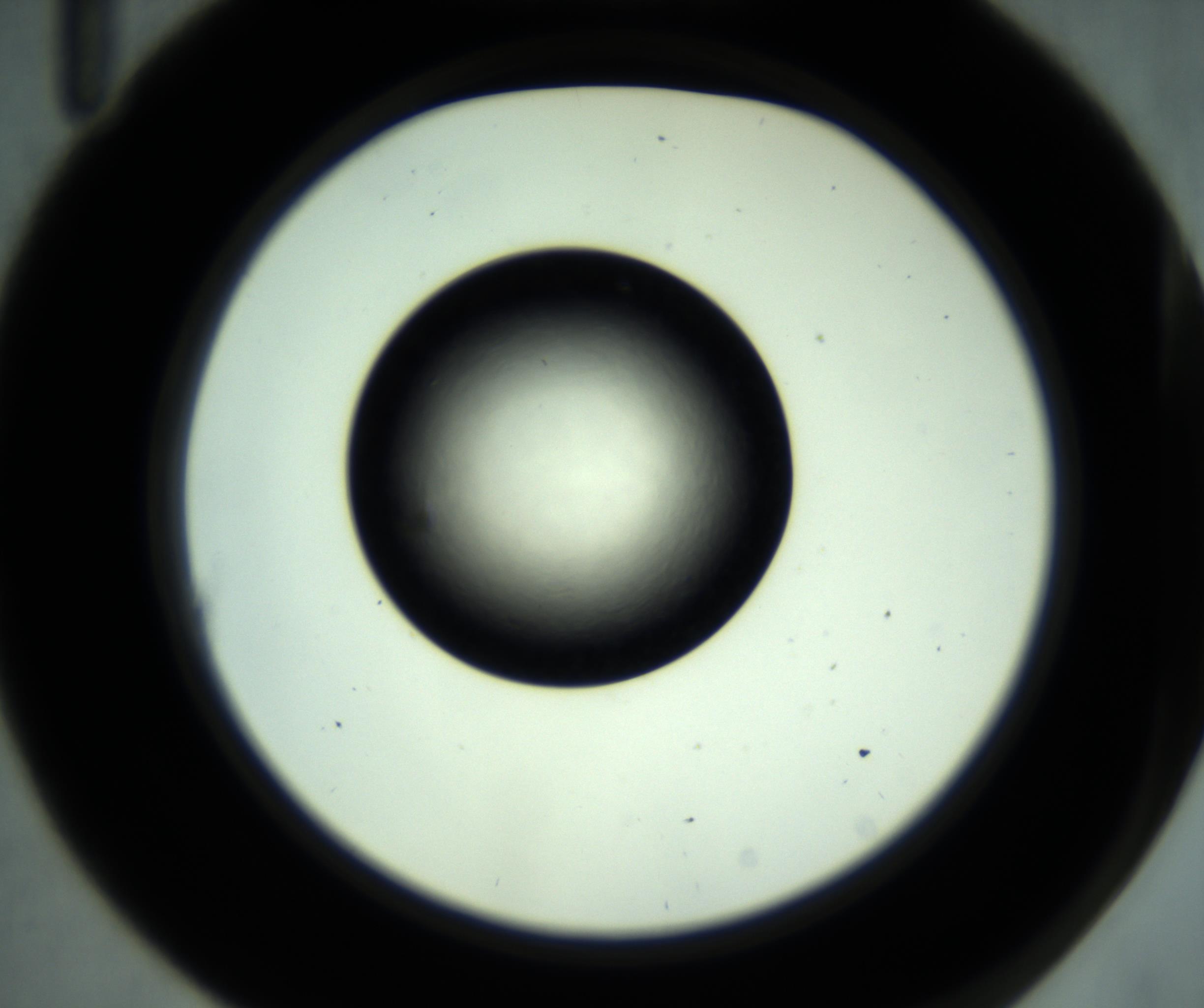RI01_03_000_0212_Proj1_Clon1_MC_0000MC102887_001_161024_11_01_02_00_98_002_001_RAI.jpg