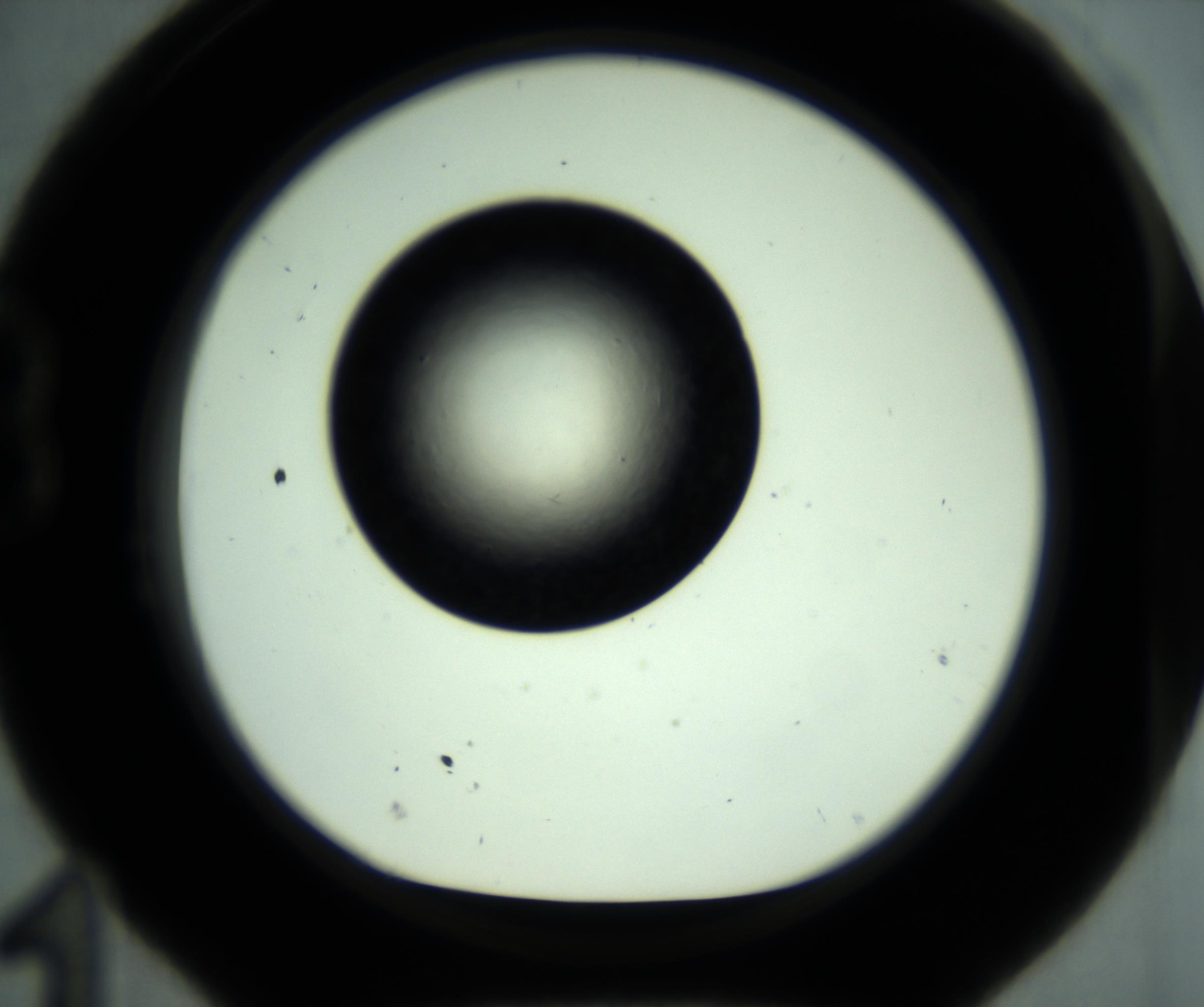RI01_03_000_0212_Proj1_Clon1_MC_0000MC102887_001_161024_11_02_01_00_98_002_001_RAI.jpg
