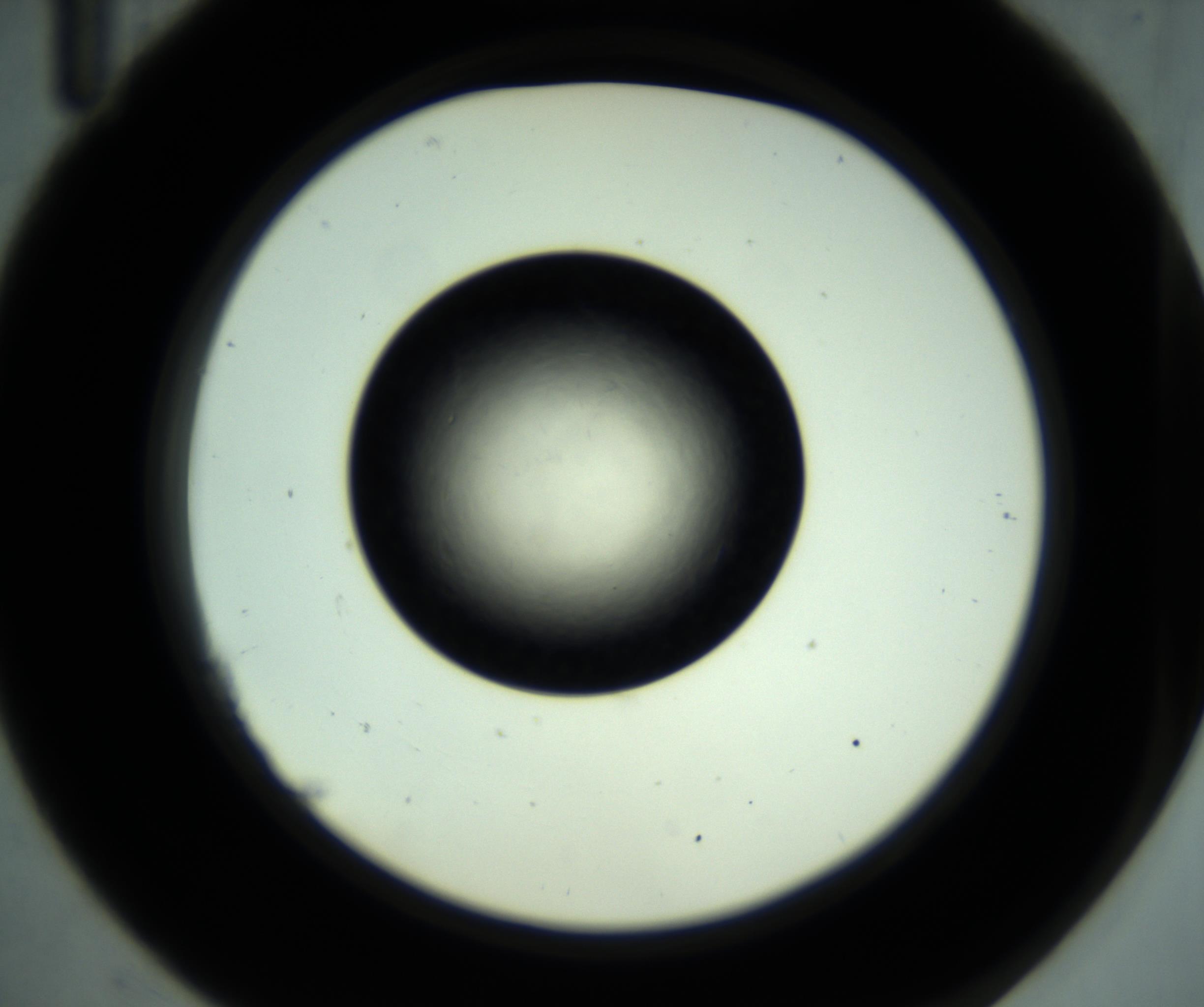 RI01_03_000_0212_Proj1_Clon1_MC_0000MC102887_001_161024_11_02_02_00_98_002_001_RAI.jpg