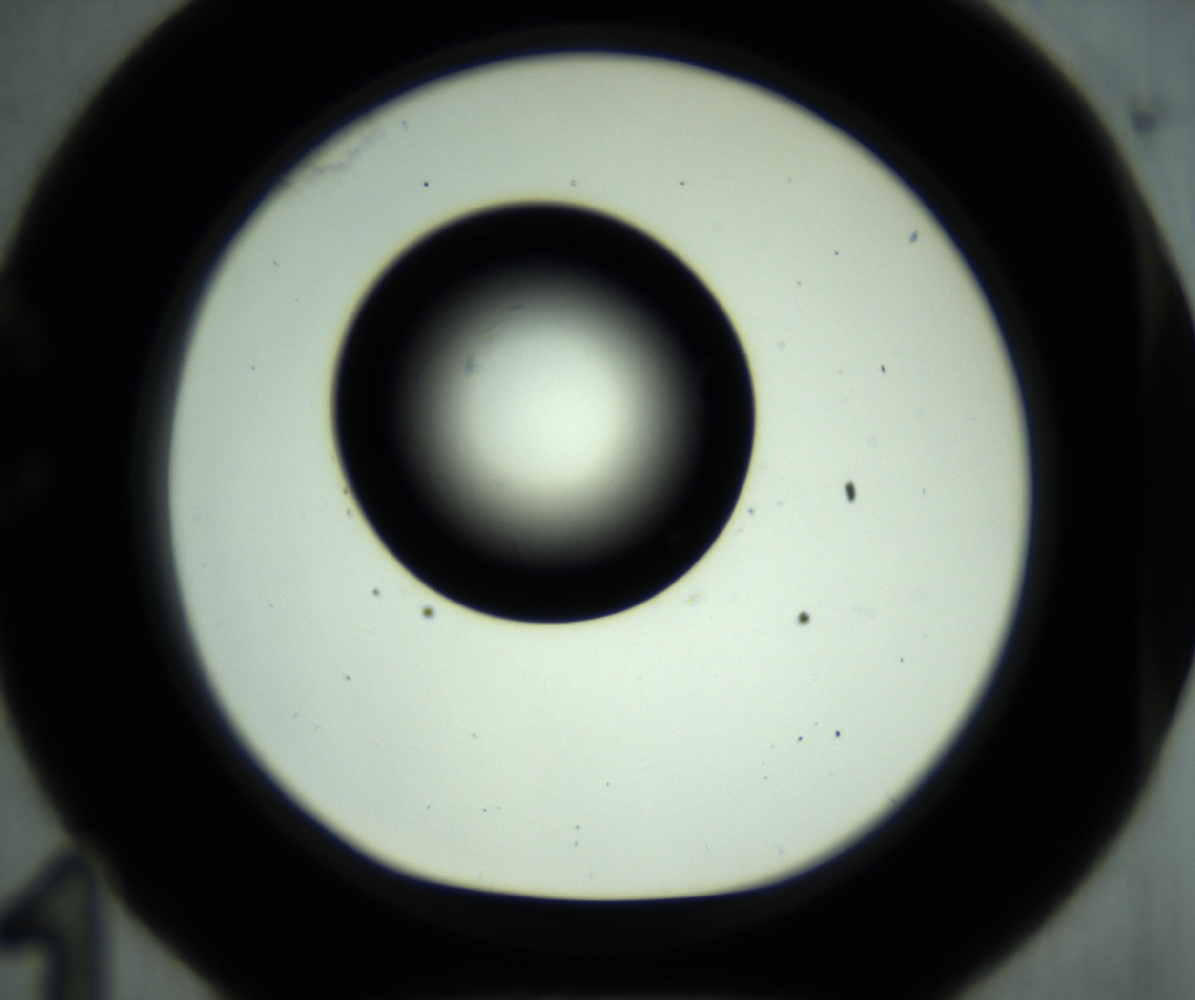 RI01_03_000_0212_Proj1_Clon1_MC_0000MC102887_001_161024_11_03_01_00_98_002_001_RAI.jpg