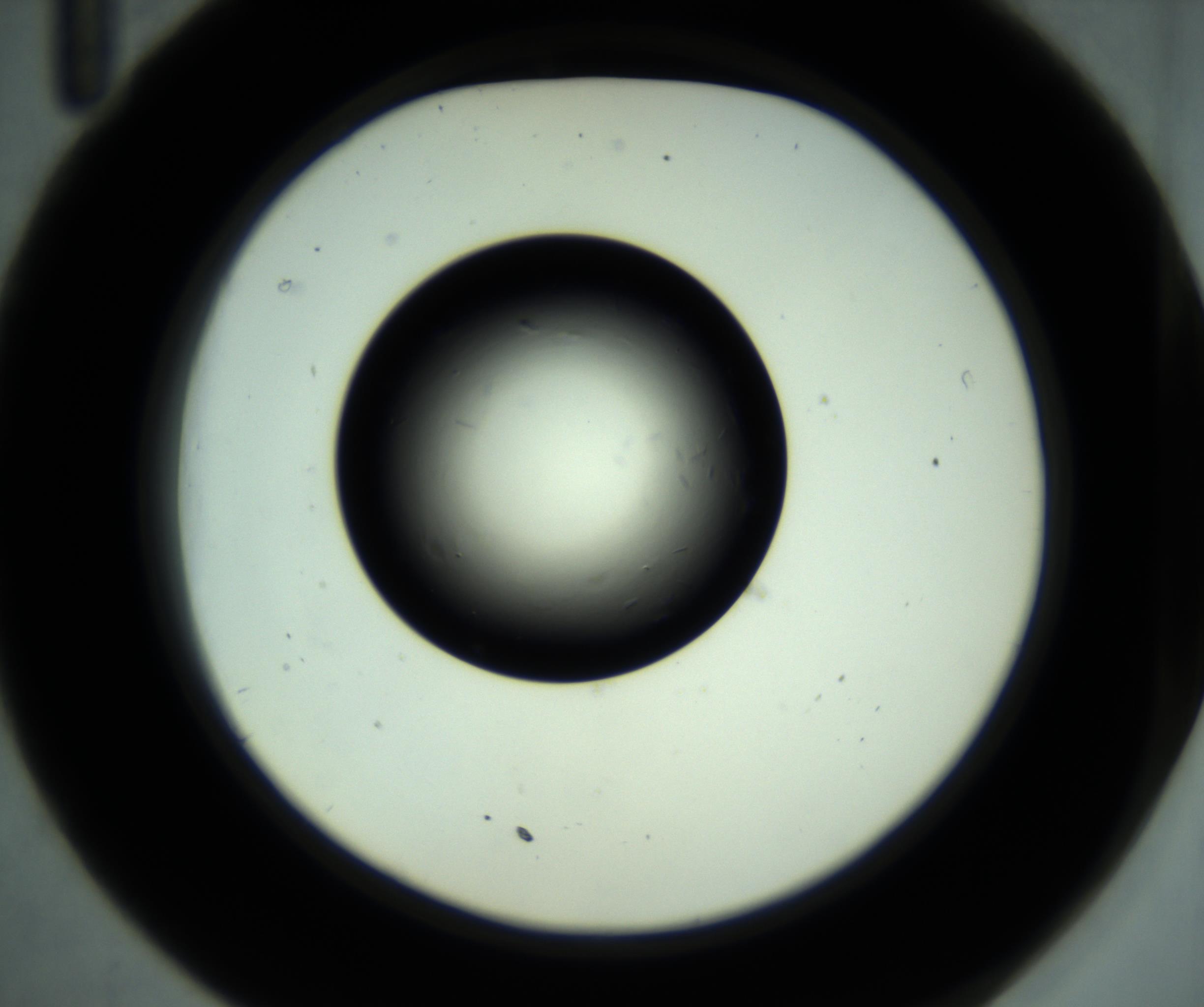 RI01_03_000_0212_Proj1_Clon1_MC_0000MC102887_001_161024_11_03_02_00_98_002_001_RAI.jpg