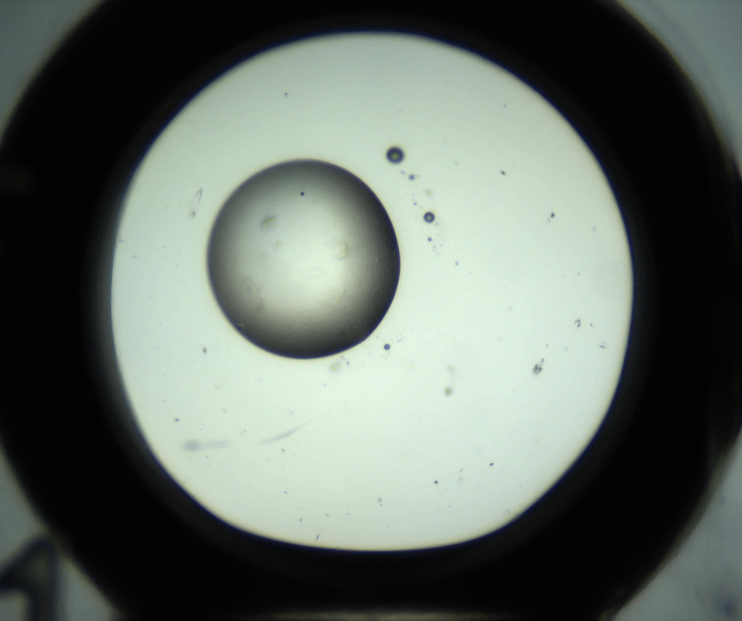 RI01_03_000_0212_Proj1_Clon1_MC_0000MC102887_001_161024_11_06_01_00_98_002_001_RAI.jpg