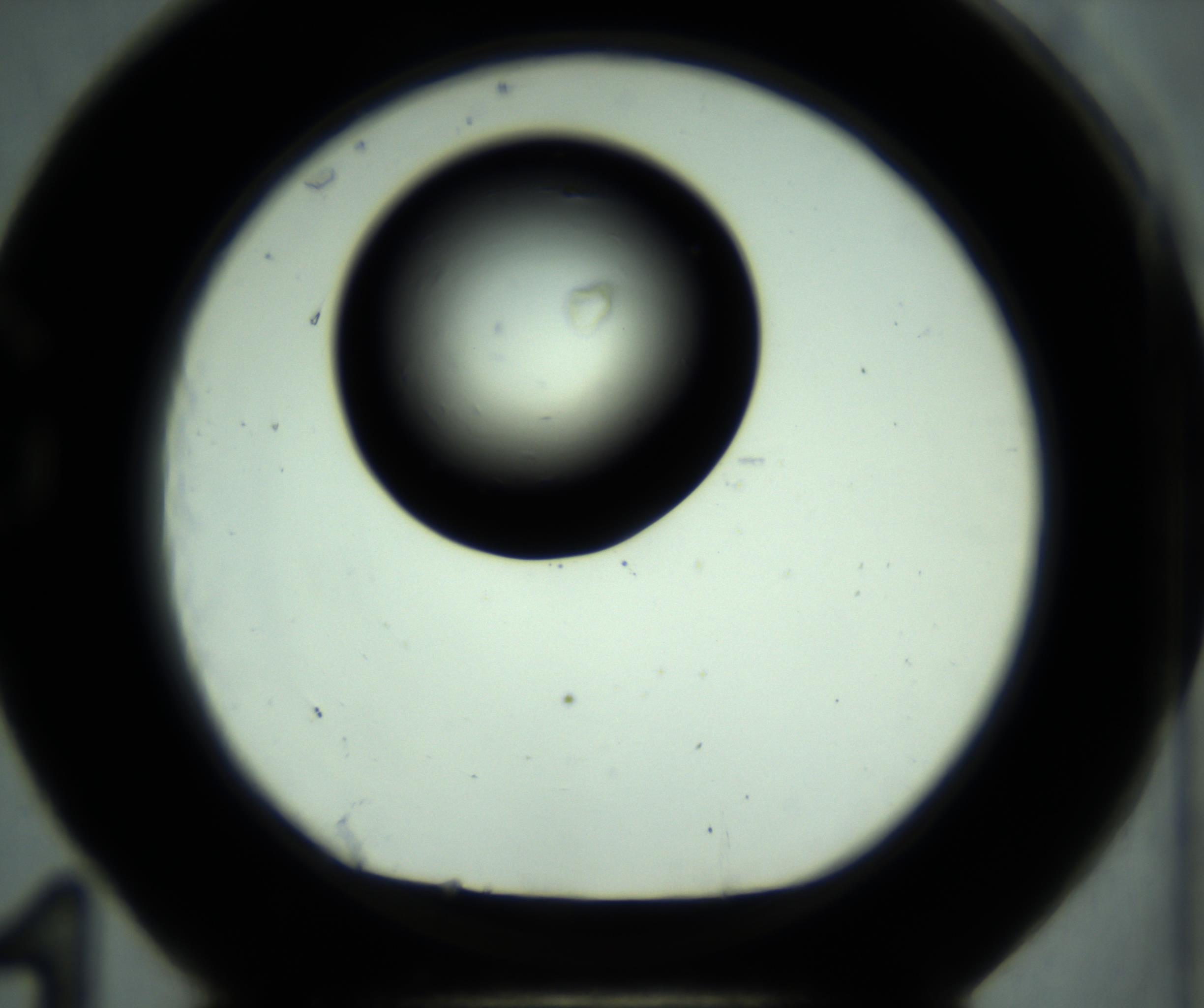 RI01_03_000_0212_Proj1_Clon1_MC_0000MC102887_001_161024_11_07_01_00_98_002_001_RAI.jpg