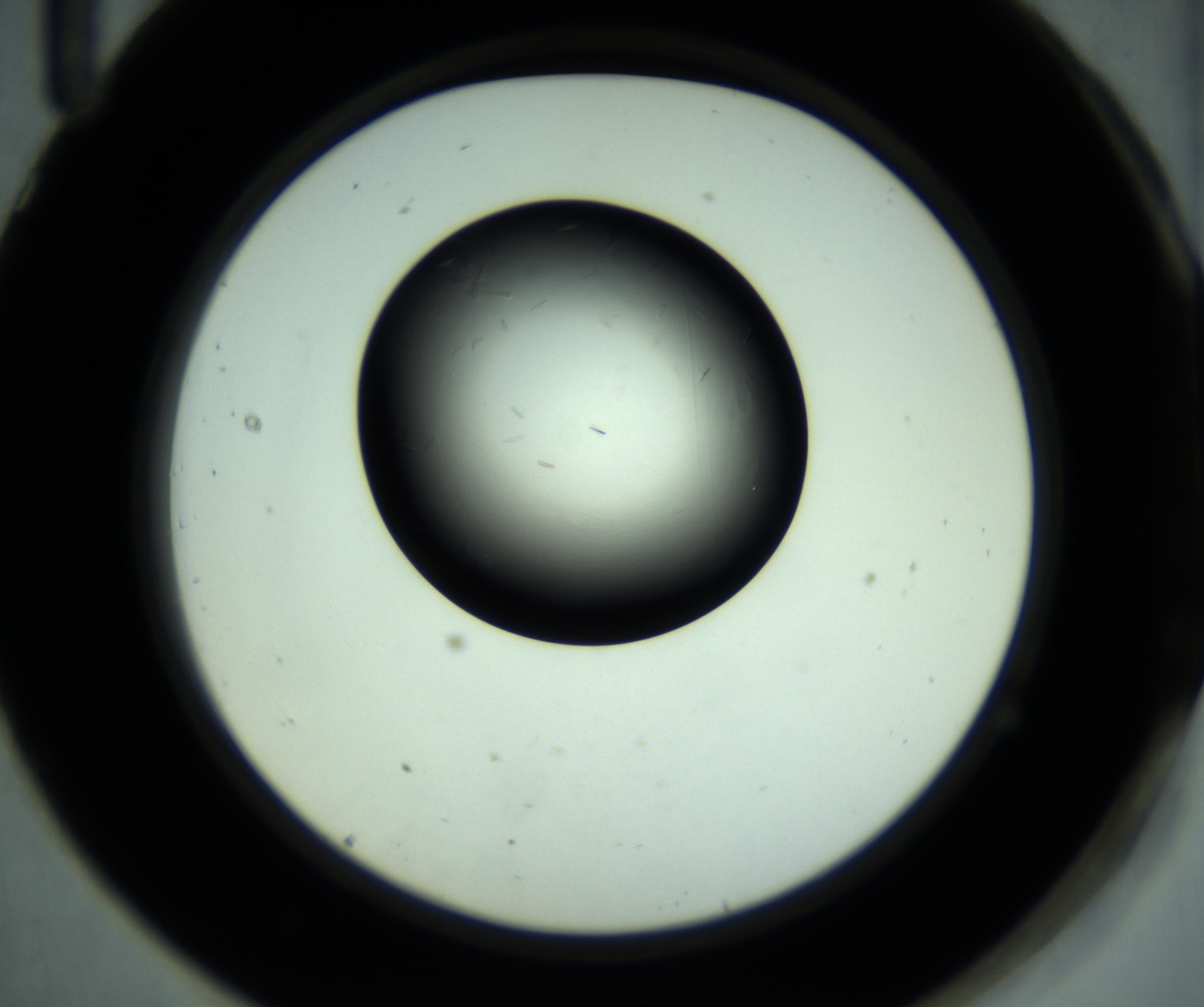 RI01_03_000_0212_Proj1_Clon1_MC_0000MC102887_001_161024_11_07_02_00_98_002_001_RAI.jpg