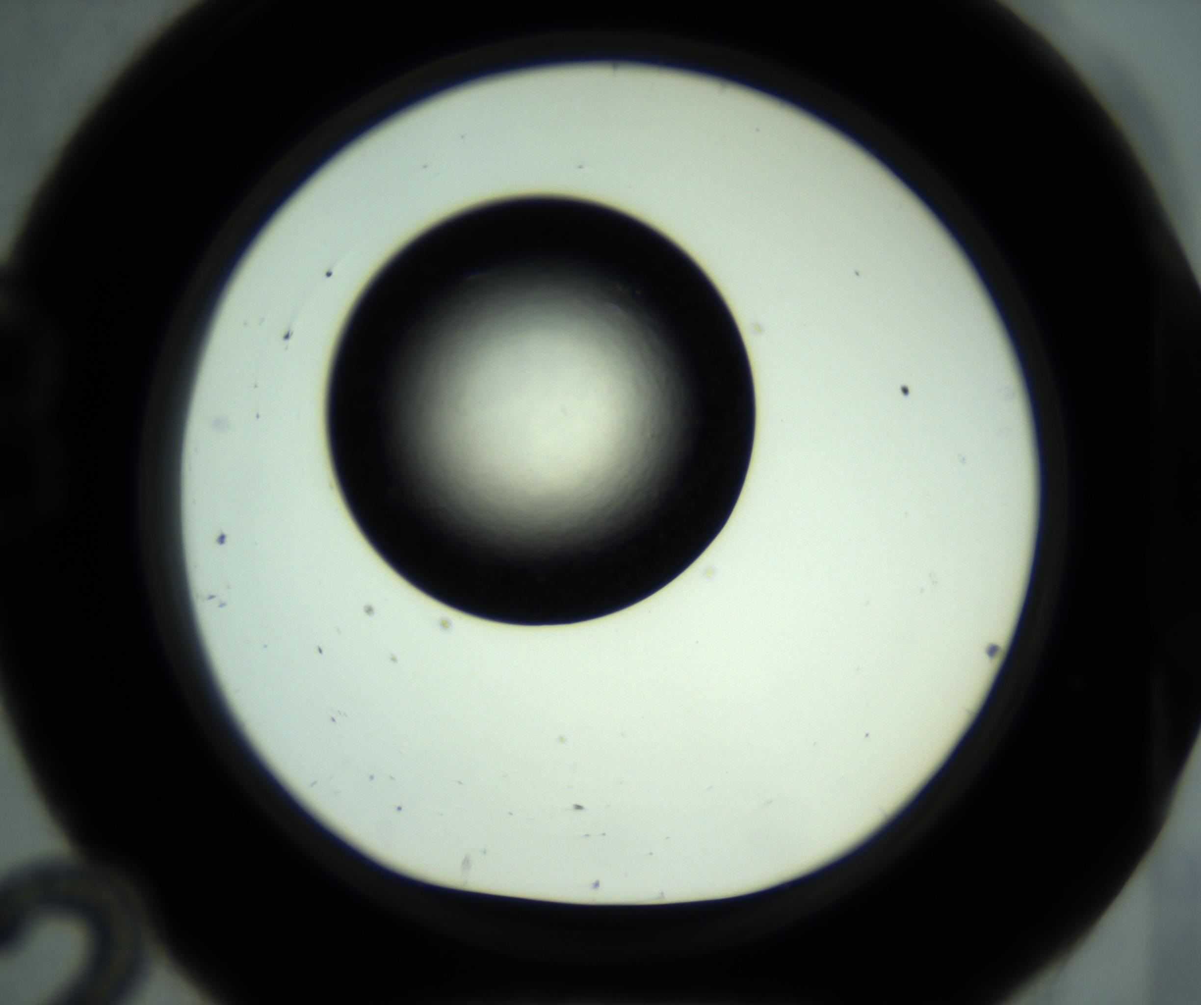 RI01_03_000_0212_Proj1_Clon1_MC_0000MC102887_001_161024_12_02_01_00_98_002_001_RAI.jpg