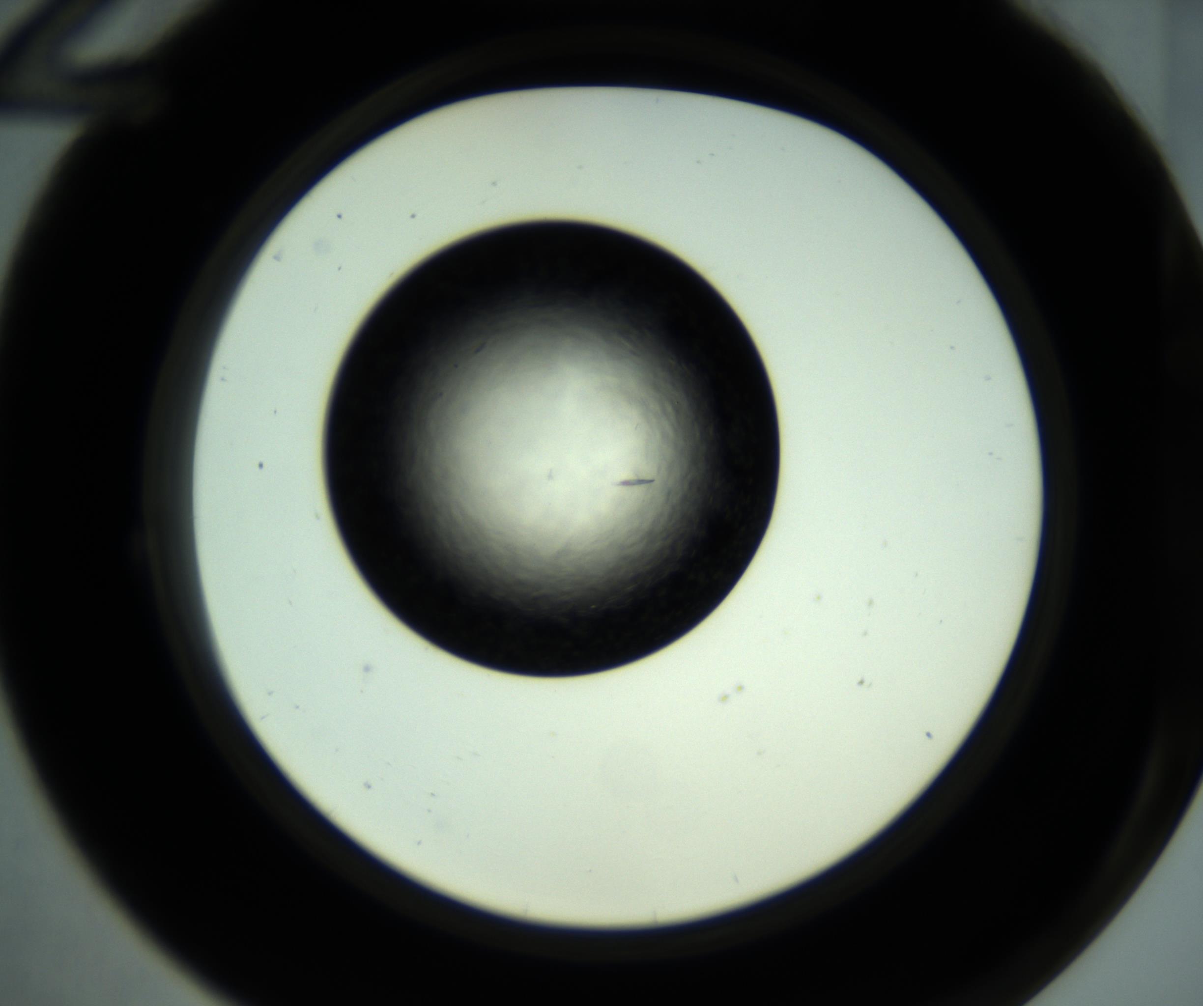 RI01_03_000_0212_Proj1_Clon1_MC_0000MC102887_001_161024_12_02_02_00_98_002_001_RAI.jpg