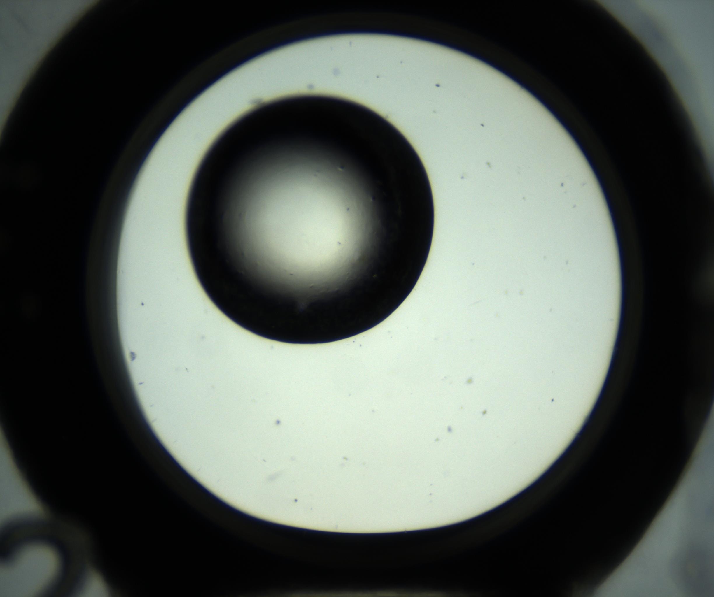 RI01_03_000_0212_Proj1_Clon1_MC_0000MC102887_001_161024_12_05_01_00_98_002_001_RAI.jpg