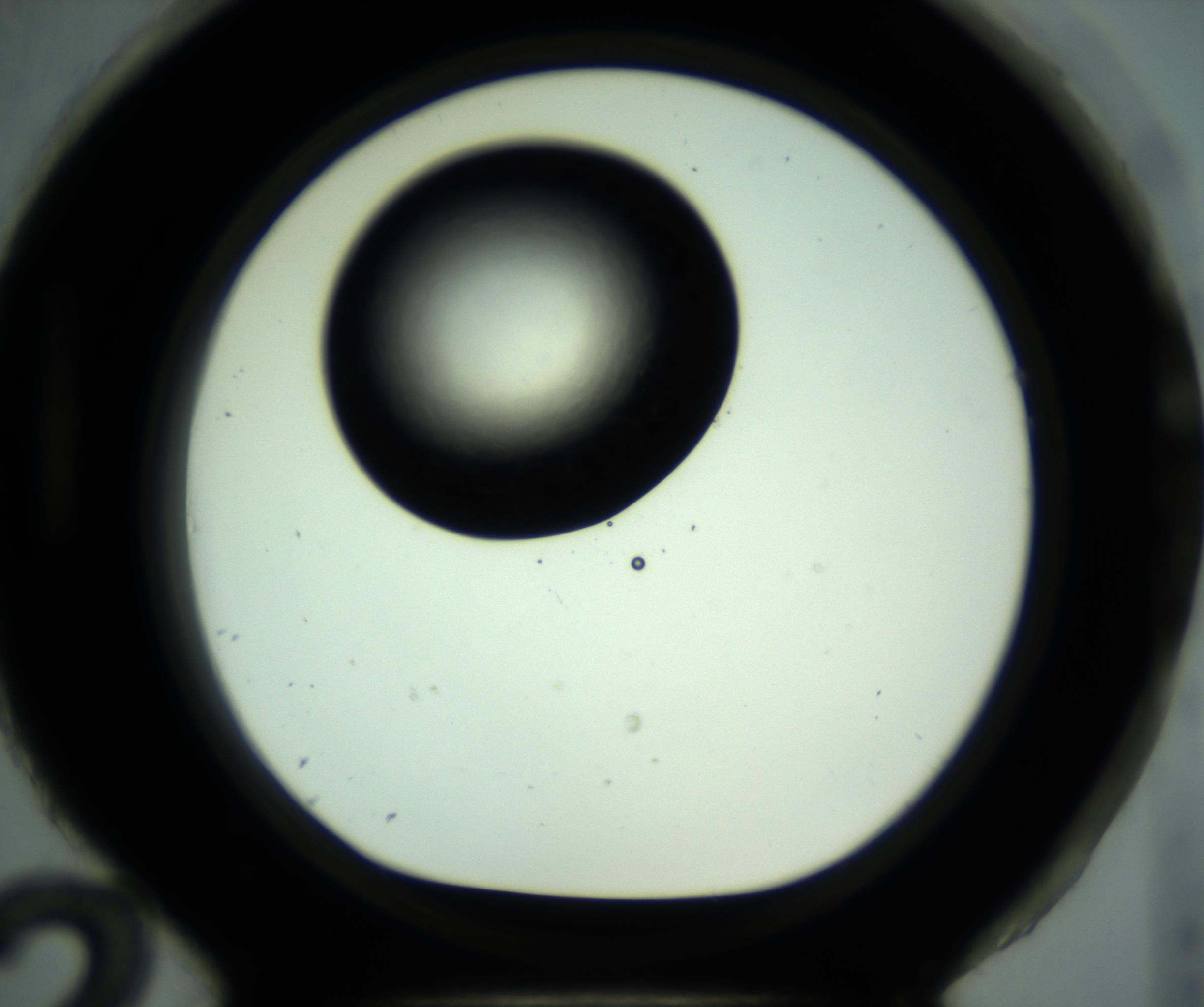 RI01_03_000_0212_Proj1_Clon1_MC_0000MC102887_001_161024_12_08_01_00_98_002_001_RAI.jpg