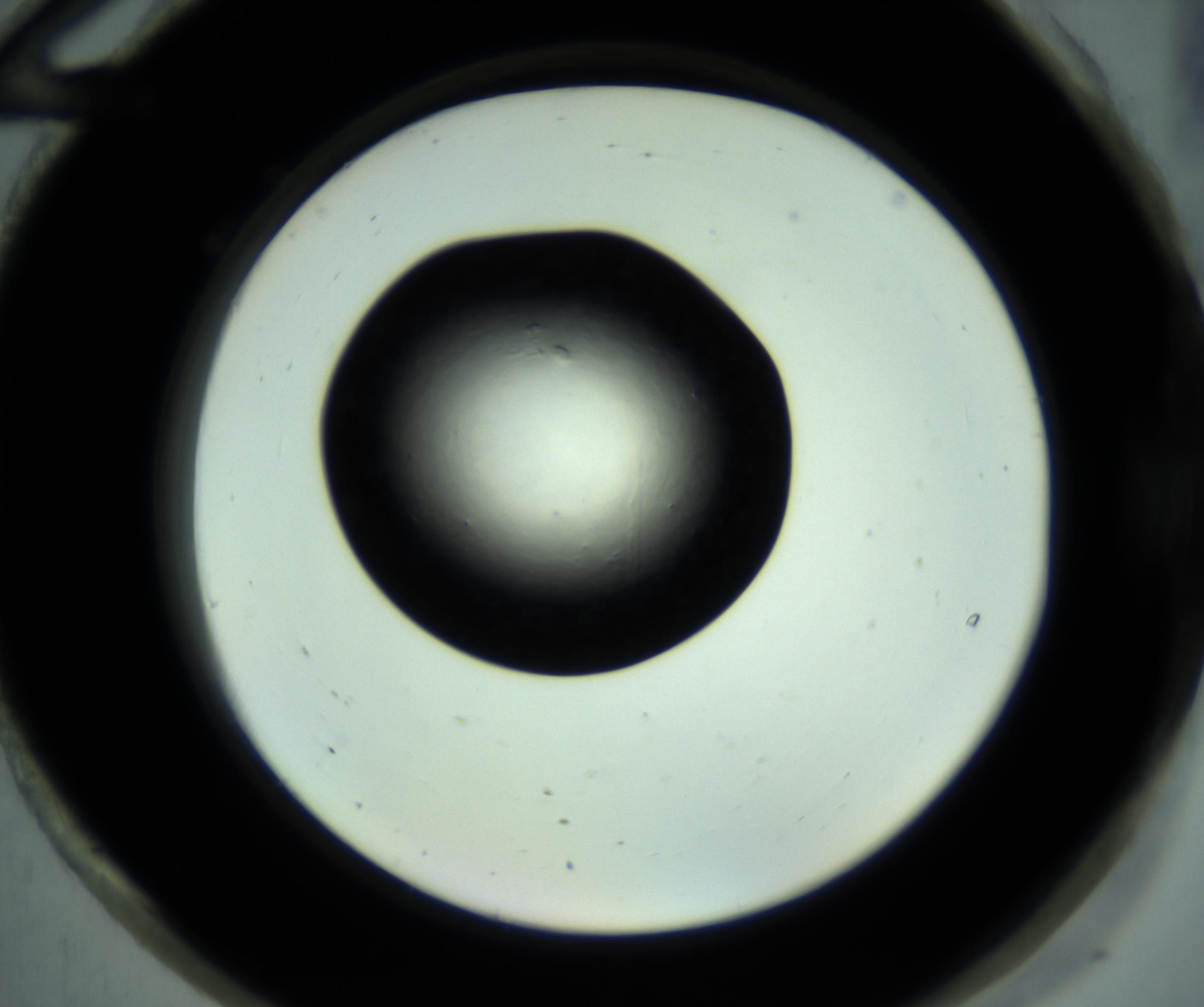 RI01_03_000_0212_Proj1_Clon1_MC_0000MC102887_001_161024_12_08_02_00_98_002_001_RAI.jpg