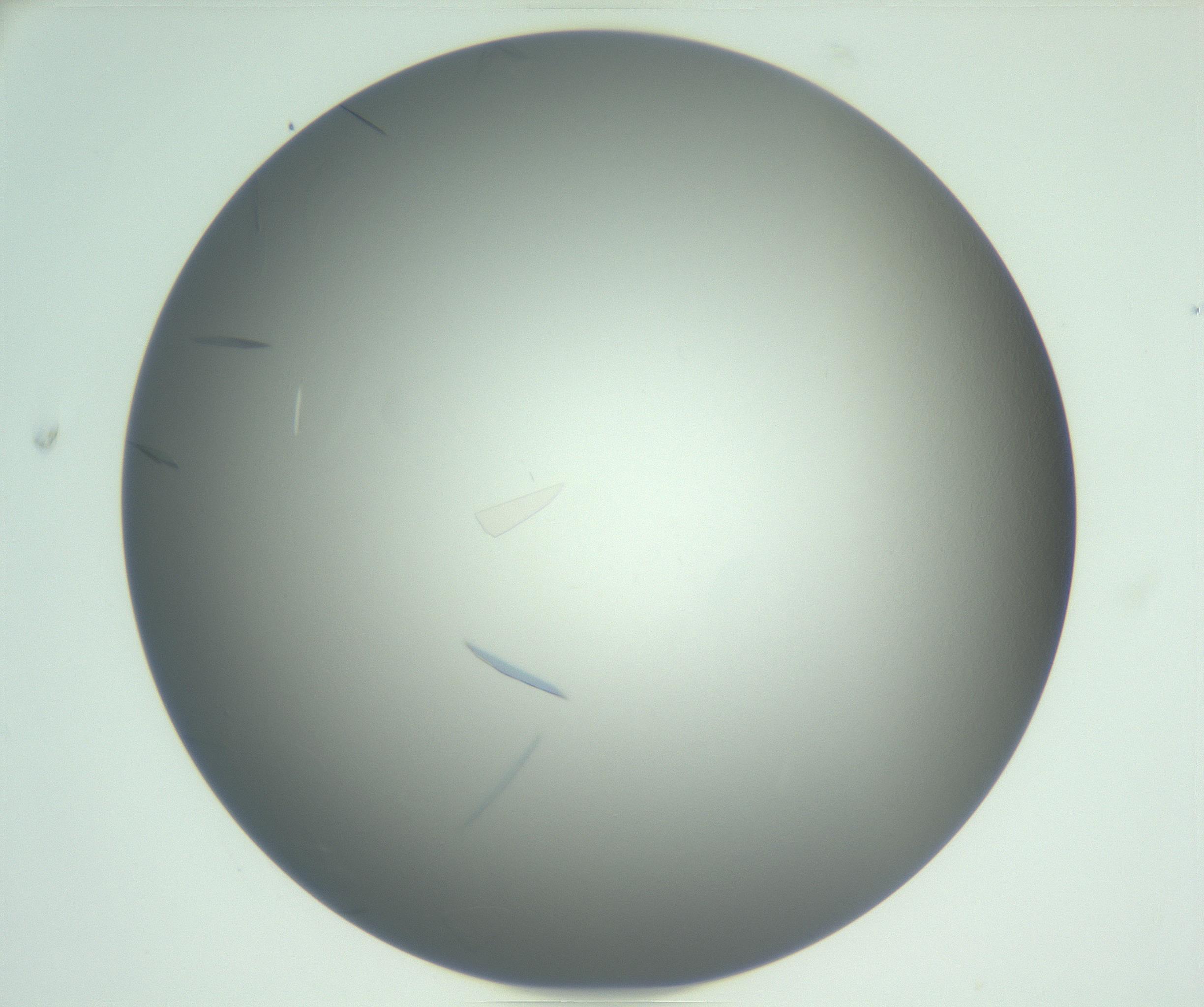 RI01_03_000_0212_Proj1_Clon1_MC_0000MC102887_003_161027_04_03_01_00_99_002_001_RAI.jpg