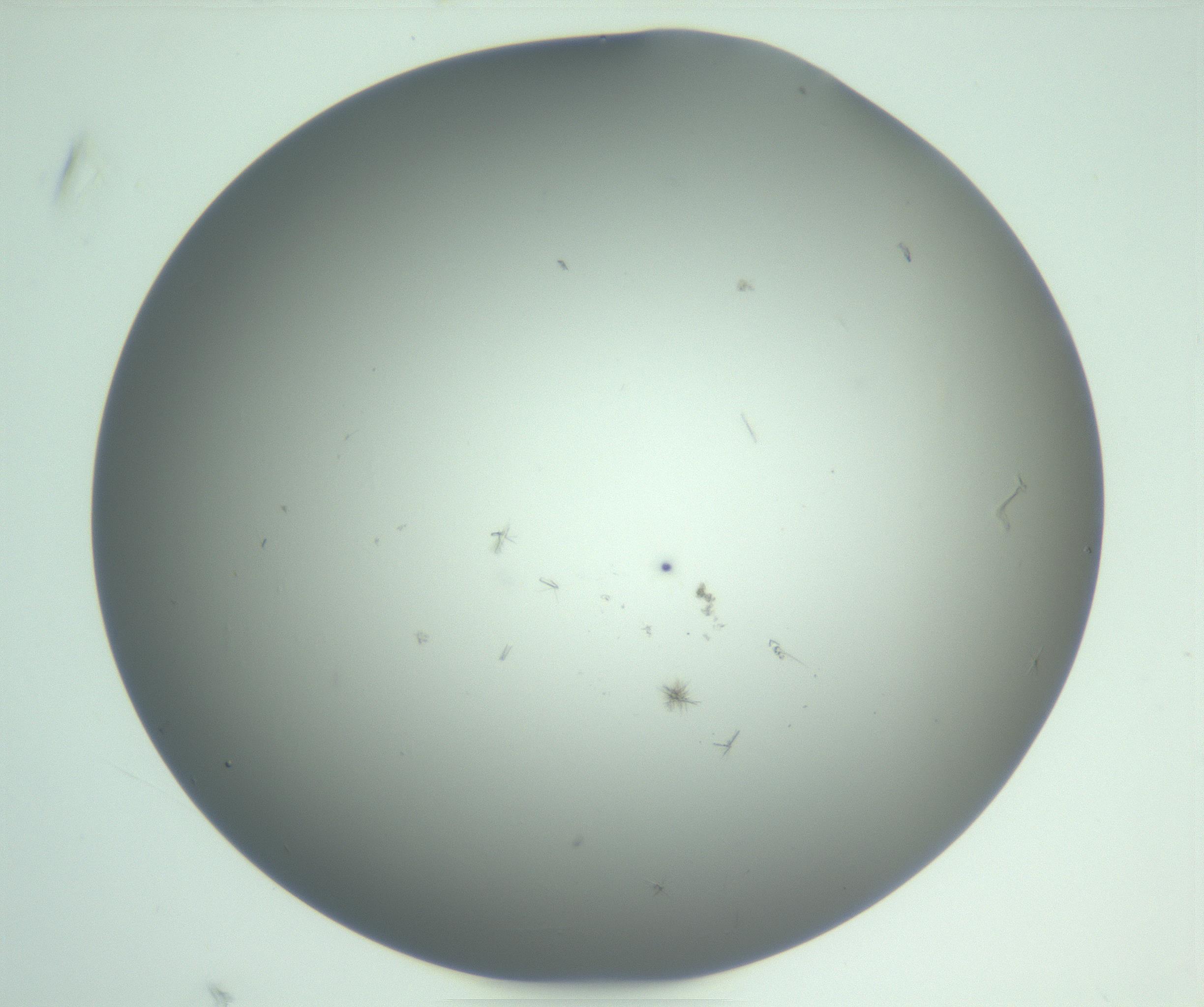 RI01_03_000_0212_Proj1_Clon1_MC_0000MC102891_010_161128_02_04_01_00_99_002_001_RAI.jpg