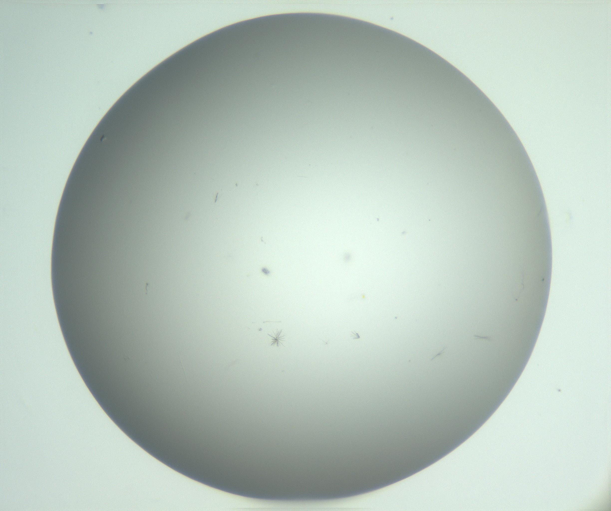 RI01_03_000_0212_Proj1_Clon1_MC_0000MC102891_010_161128_05_04_01_00_99_002_001_RAI.jpg