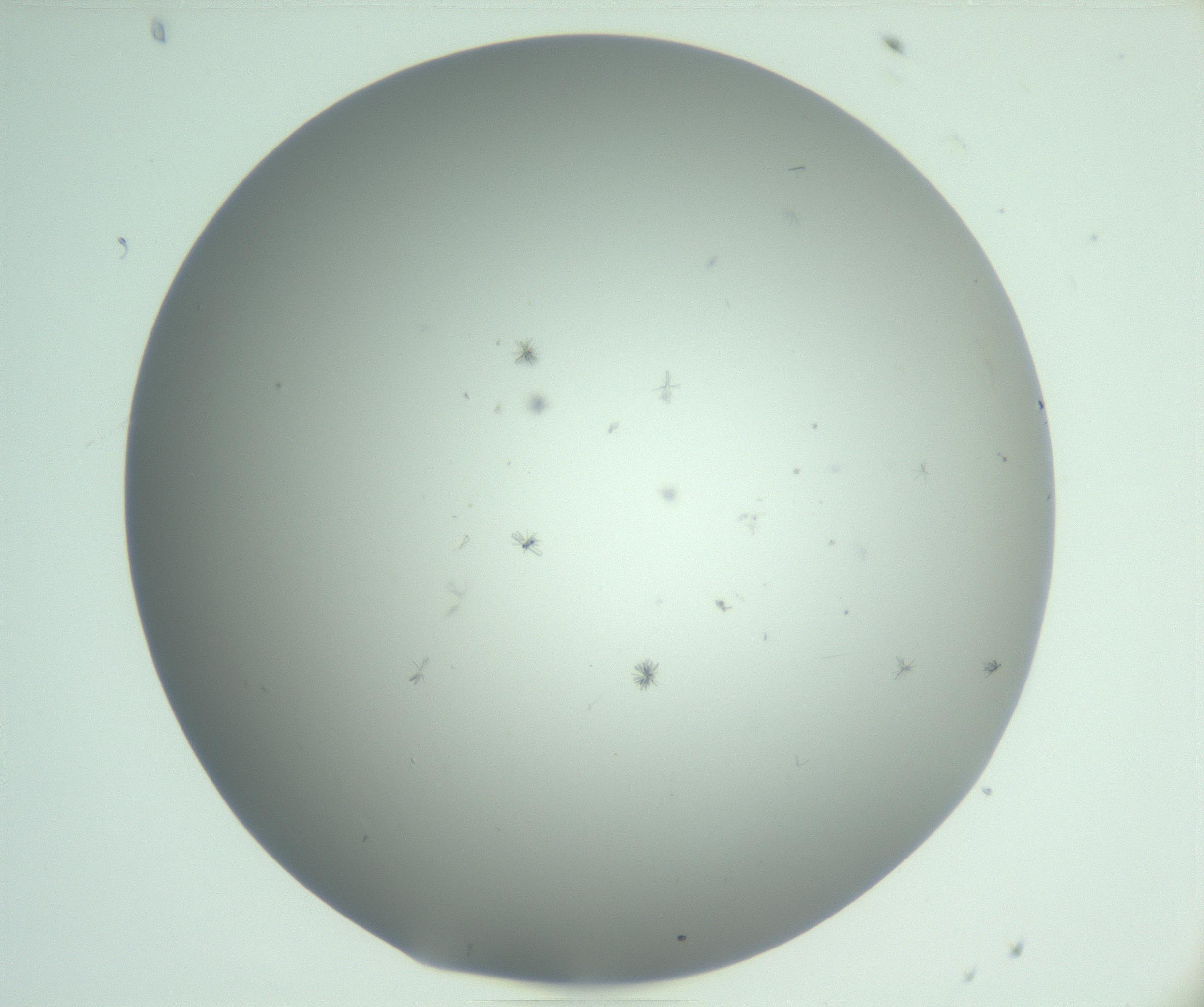 RI01_03_000_0212_Proj1_Clon1_MC_0000MC102891_010_161128_08_03_01_00_99_002_001_RAI.jpg