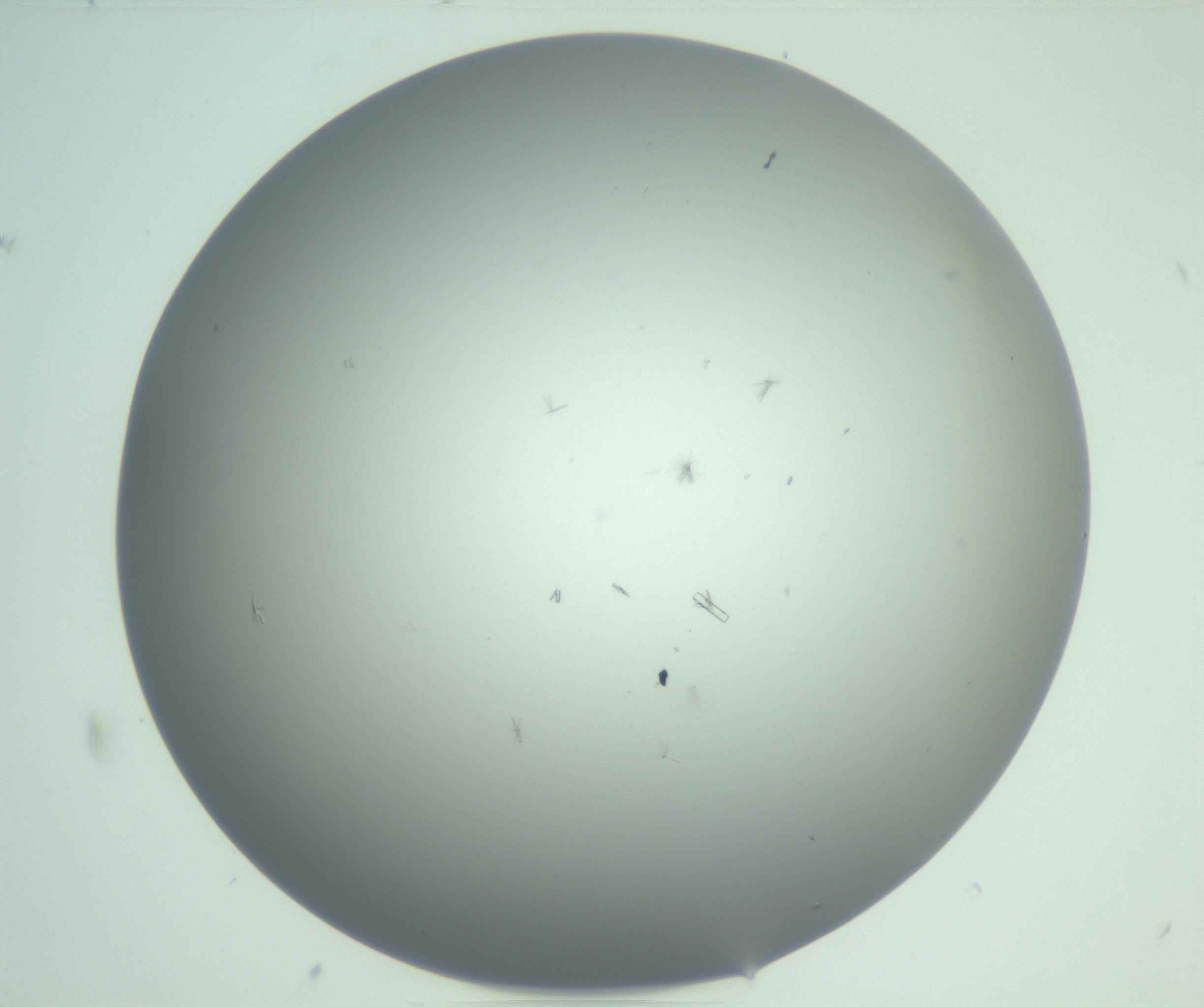 RI01_03_000_0212_Proj1_Clon1_MC_0000MC102891_010_161128_09_08_01_00_99_002_001_RAI.jpg