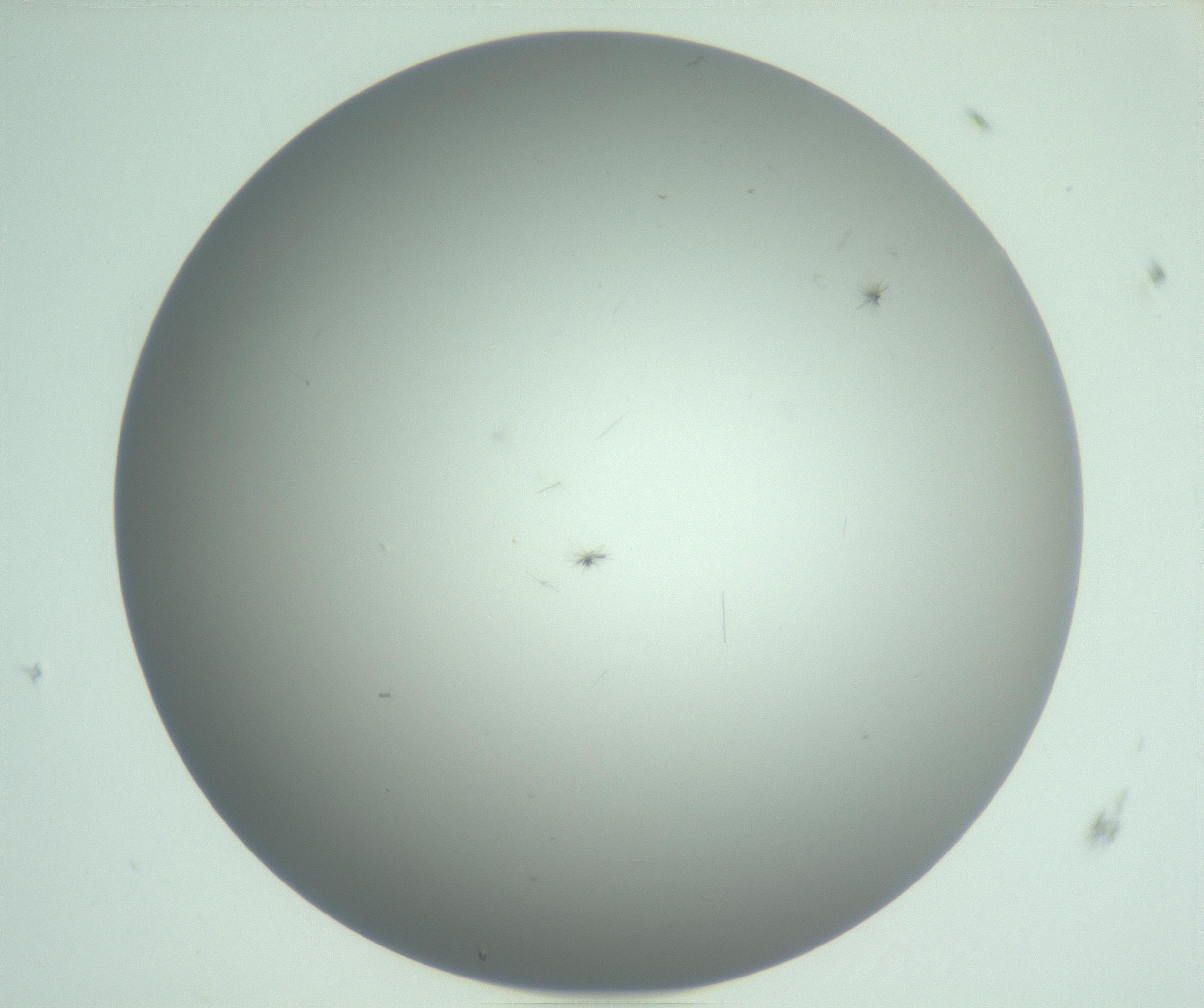 RI01_03_000_0212_Proj1_Clon1_MC_0000MC102891_010_161128_11_06_01_00_99_002_001_RAI.jpg