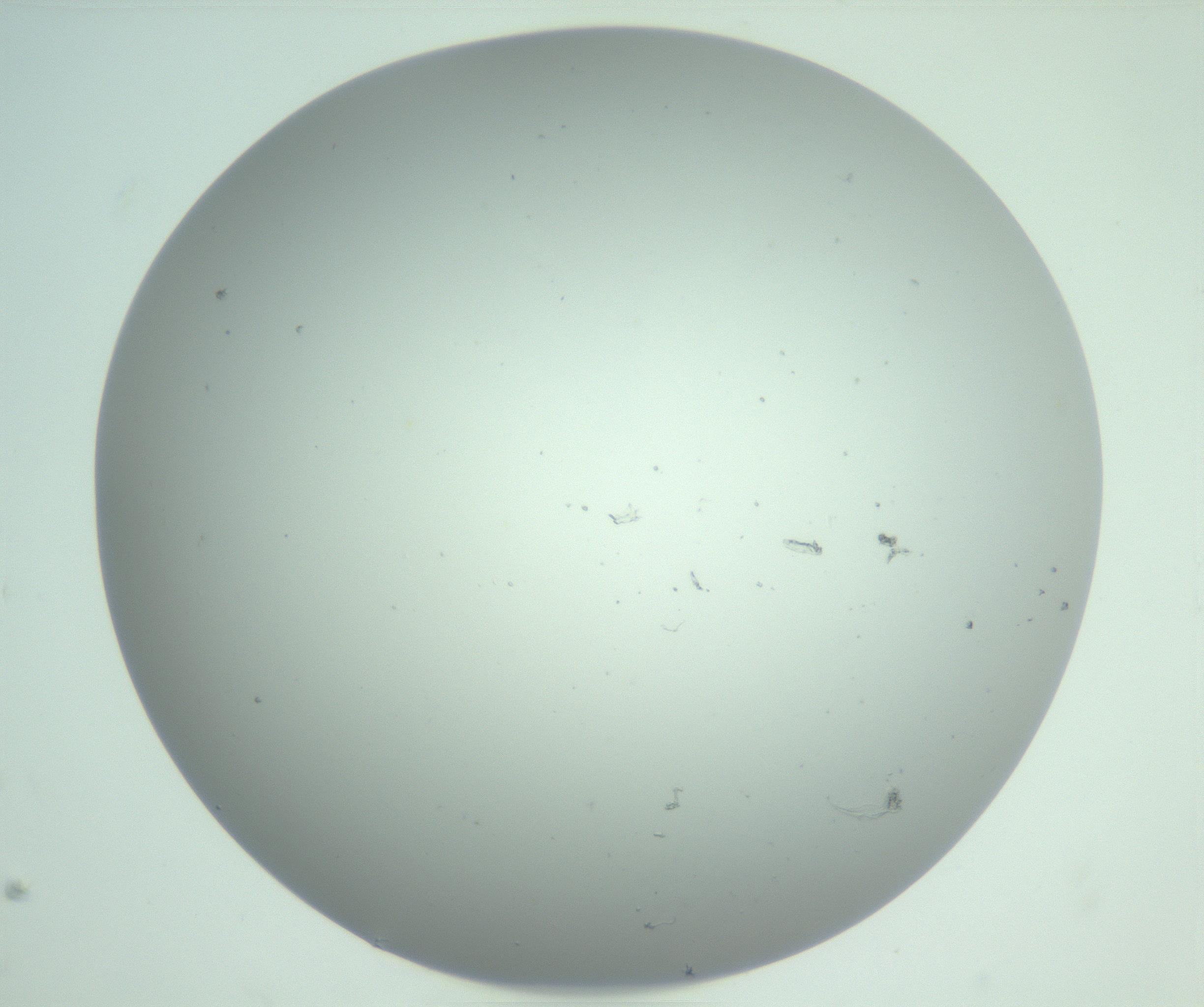 RI01_03_000_0212_Proj1_Clon1_MC_0000MC102891_011_161205_10_08_01_00_99_002_001_RAI.jpg