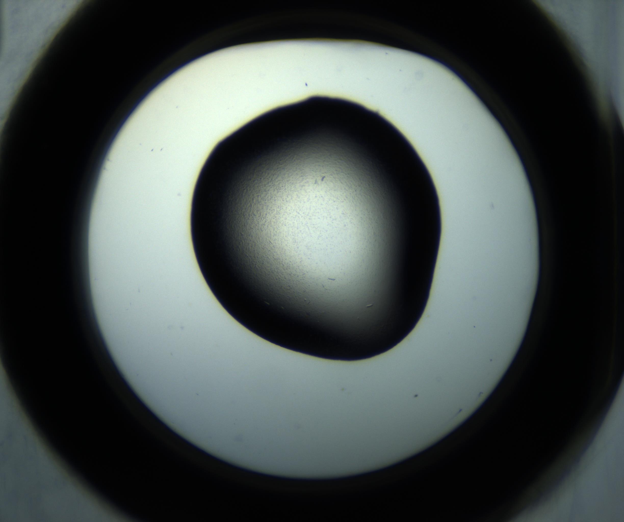 RI01_03_000_0212_Proj1_Clon1_MC_0000MC102892_001_161024_01_05_02_00_98_002_001_RAI.jpg