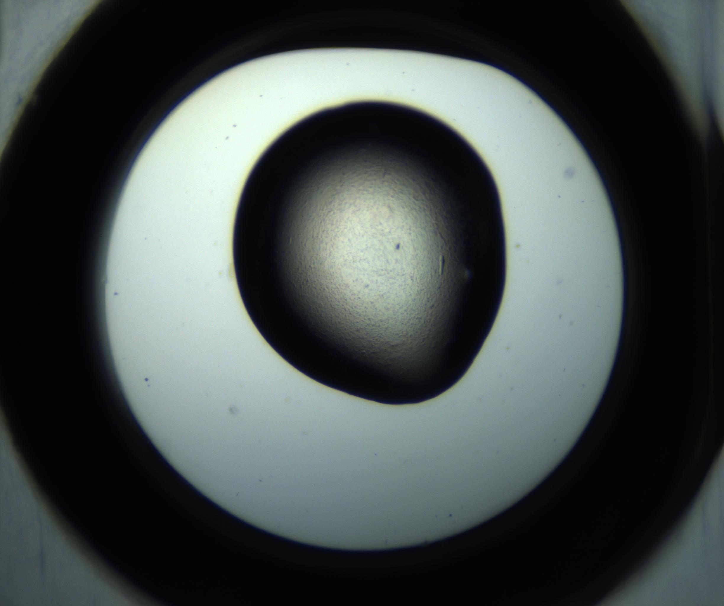 RI01_03_000_0212_Proj1_Clon1_MC_0000MC102892_001_161024_01_06_02_00_98_002_001_RAI.jpg