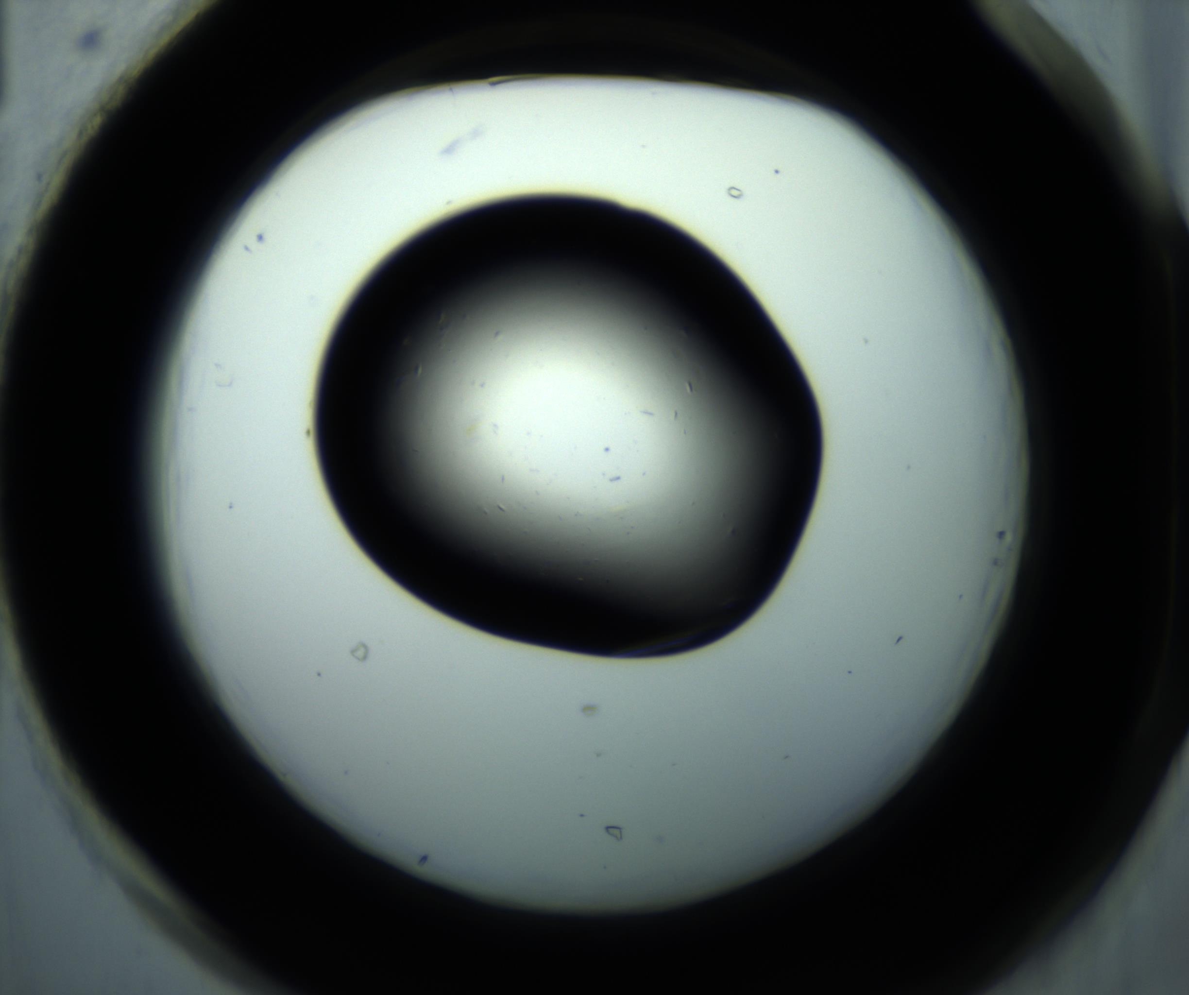 RI01_03_000_0212_Proj1_Clon1_MC_0000MC102892_001_161024_01_08_02_00_98_002_001_RAI.jpg