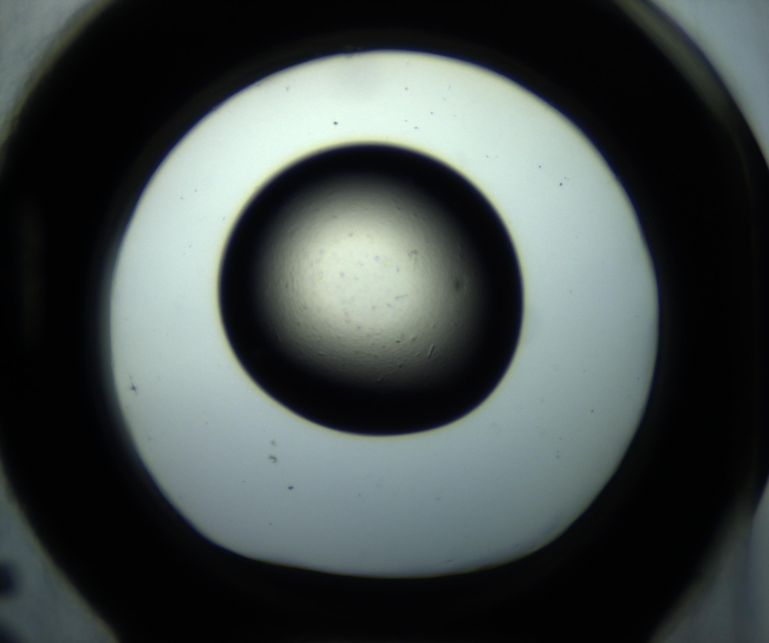 RI01_03_000_0212_Proj1_Clon1_MC_0000MC102892_001_161024_05_08_01_00_98_002_001_RAI.jpg