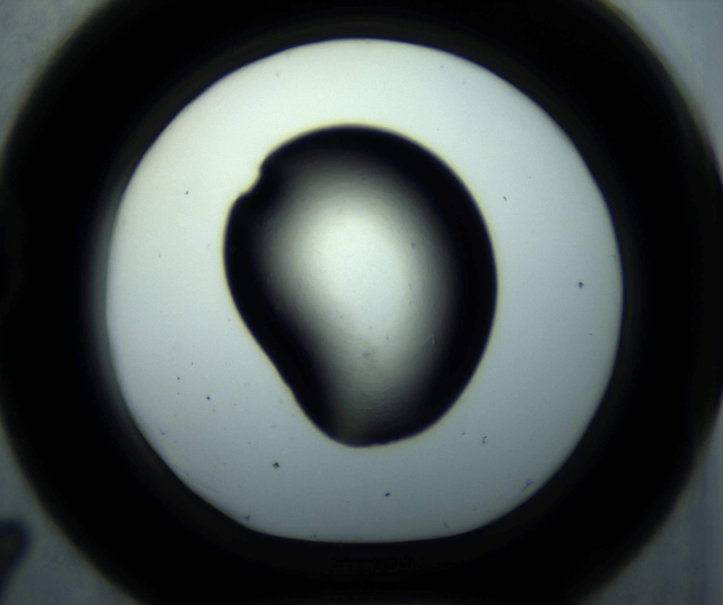 RI01_03_000_0212_Proj1_Clon1_MC_0000MC102892_001_161024_07_04_01_00_98_002_001_RAI.jpg